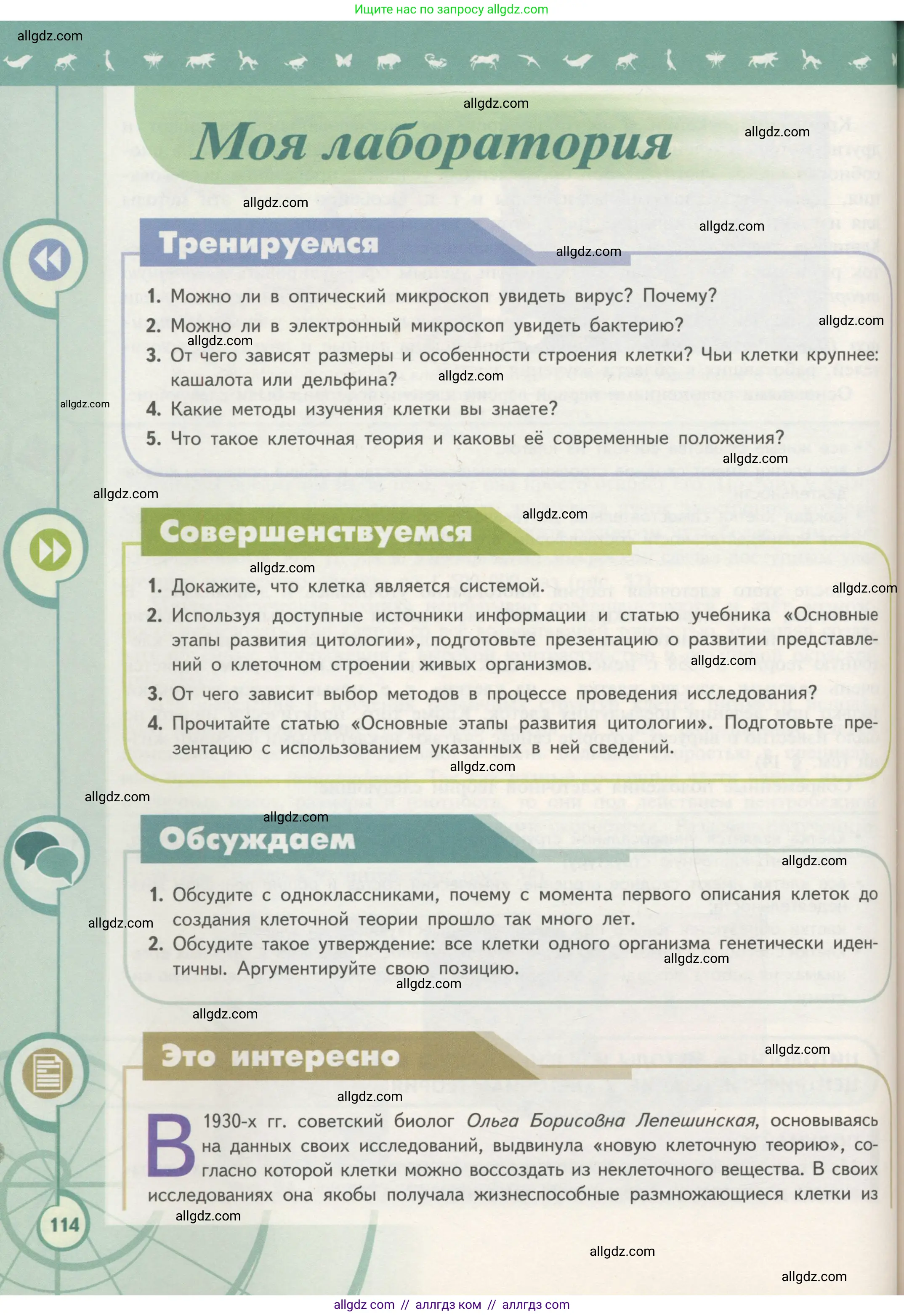 Биология, 10 класс Учебник, авторы: Пасечник Владимир Васильевич, Каменский Андрей Александрович, Рубцов Александр Михайлович, Швецов Глеб Геннадьевич, Гапонюк Зоя Георгиевна, издательство Просвещение, Москва, 2018, зелёного цвета, страница 114