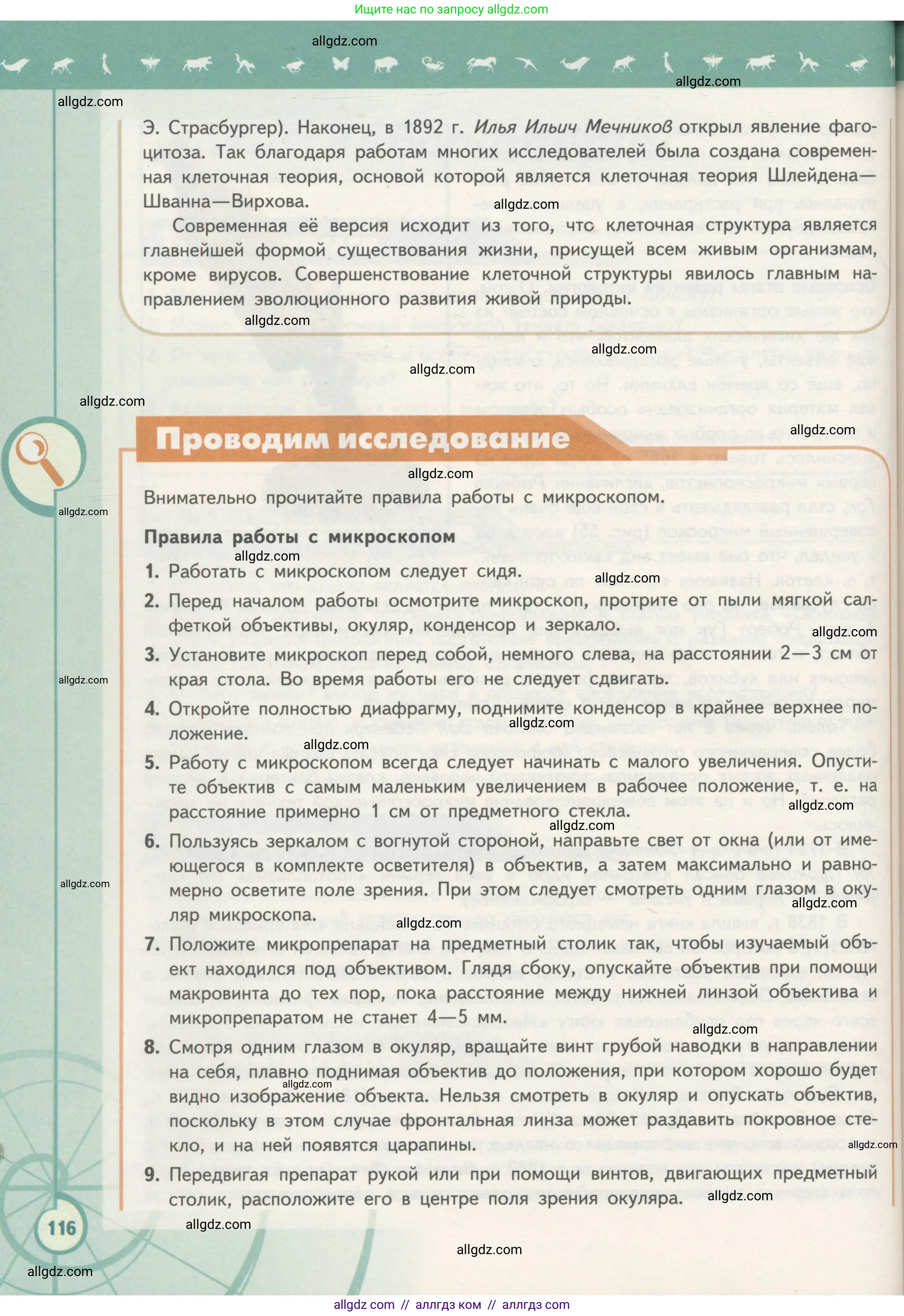 Биология, 10 класс Учебник, авторы: Пасечник Владимир Васильевич, Каменский Андрей Александрович, Рубцов Александр Михайлович, Швецов Глеб Геннадьевич, Гапонюк Зоя Георгиевна, издательство Просвещение, Москва, 2018, зелёного цвета, страница 116