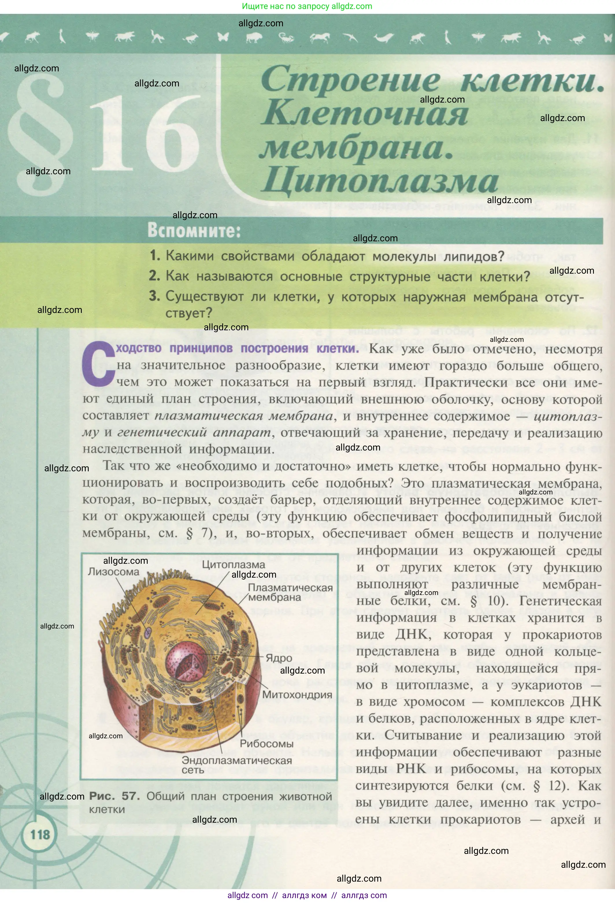 Биология, 10 класс Учебник, авторы: Пасечник Владимир Васильевич, Каменский Андрей Александрович, Рубцов Александр Михайлович, Швецов Глеб Геннадьевич, Гапонюк Зоя Георгиевна, издательство Просвещение, Москва, 2018, зелёного цвета, страница 118