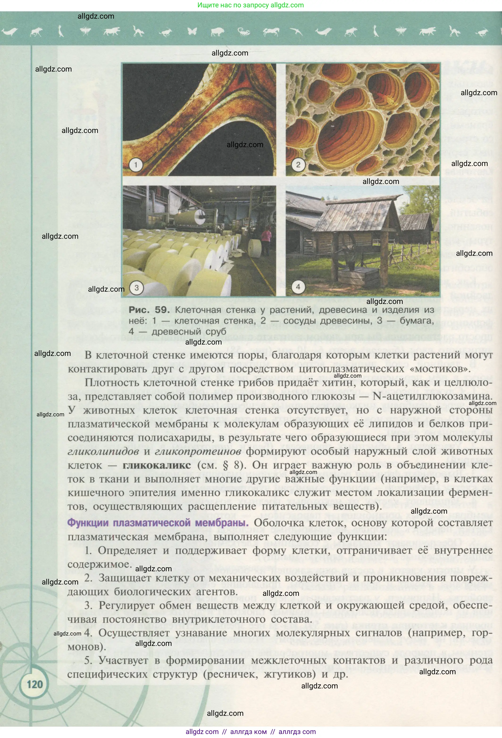 Биология, 10 класс Учебник, авторы: Пасечник Владимир Васильевич, Каменский Андрей Александрович, Рубцов Александр Михайлович, Швецов Глеб Геннадьевич, Гапонюк Зоя Георгиевна, издательство Просвещение, Москва, 2018, зелёного цвета, страница 120