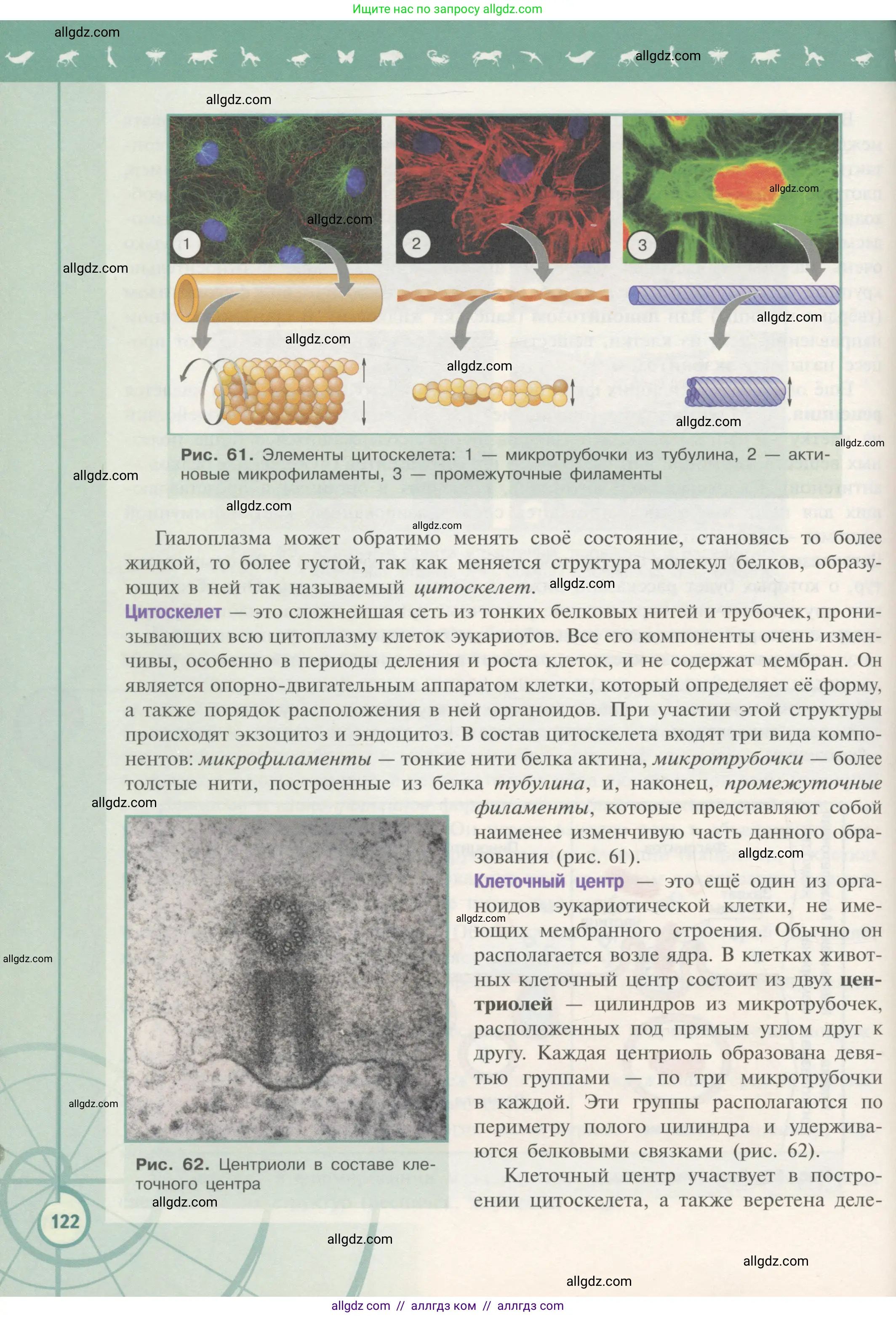 Биология, 10 класс Учебник, авторы: Пасечник Владимир Васильевич, Каменский Андрей Александрович, Рубцов Александр Михайлович, Швецов Глеб Геннадьевич, Гапонюк Зоя Георгиевна, издательство Просвещение, Москва, 2018, зелёного цвета, страница 122