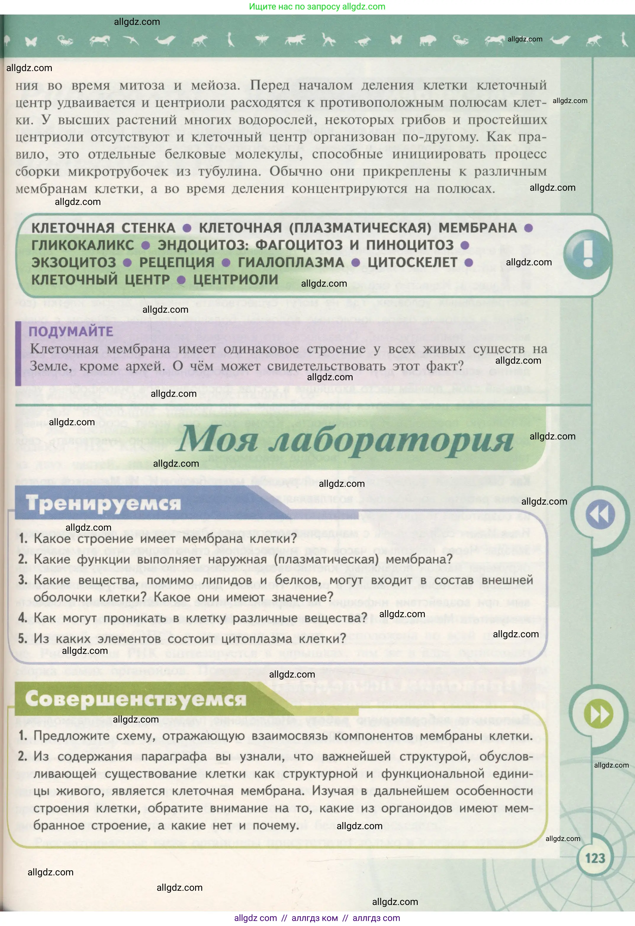 Биология, 10 класс Учебник, авторы: Пасечник Владимир Васильевич, Каменский Андрей Александрович, Рубцов Александр Михайлович, Швецов Глеб Геннадьевич, Гапонюк Зоя Георгиевна, издательство Просвещение, Москва, 2018, зелёного цвета, страница 123