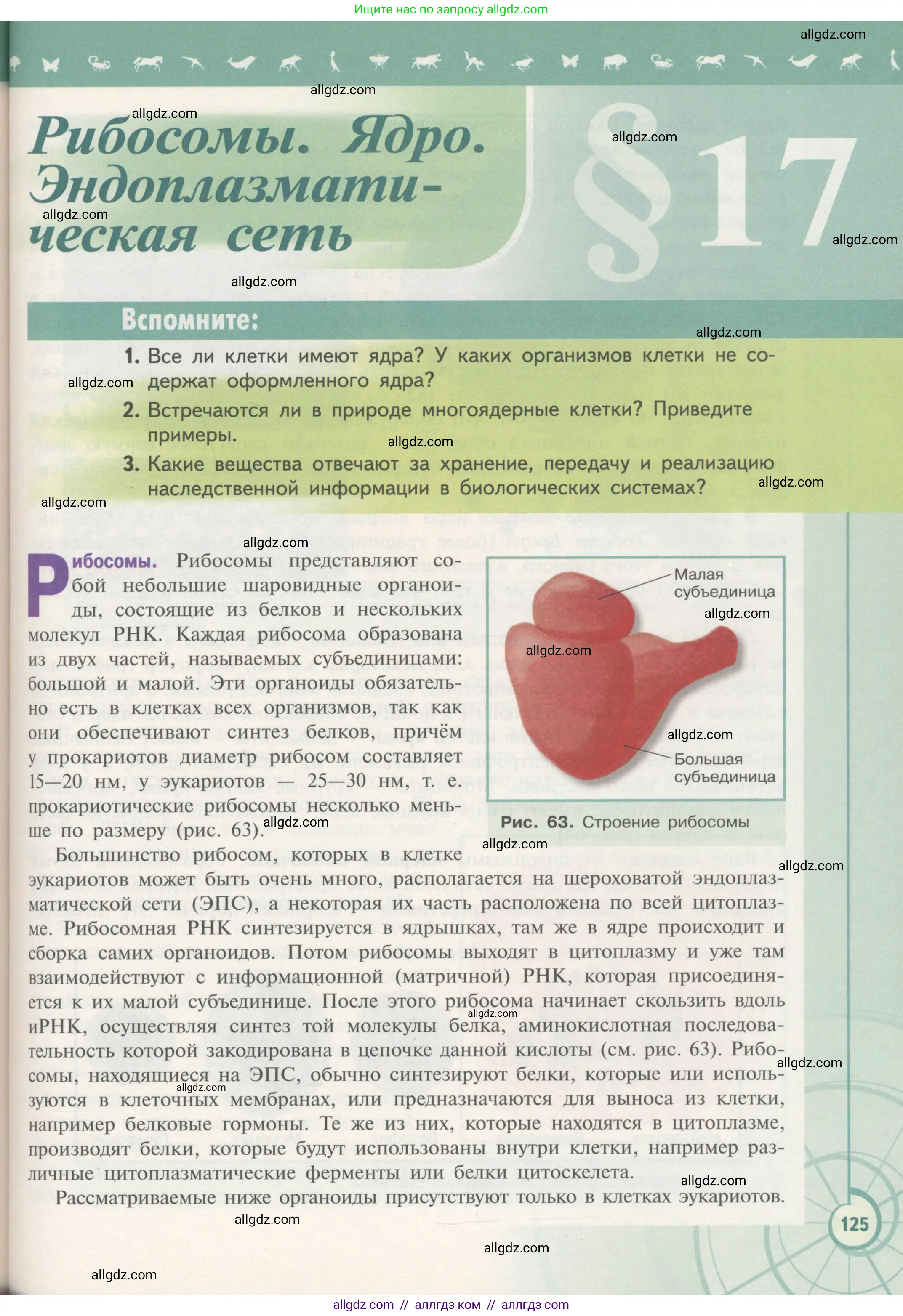 Биология, 10 класс Учебник, авторы: Пасечник Владимир Васильевич, Каменский Андрей Александрович, Рубцов Александр Михайлович, Швецов Глеб Геннадьевич, Гапонюк Зоя Георгиевна, издательство Просвещение, Москва, 2018, зелёного цвета, страница 125