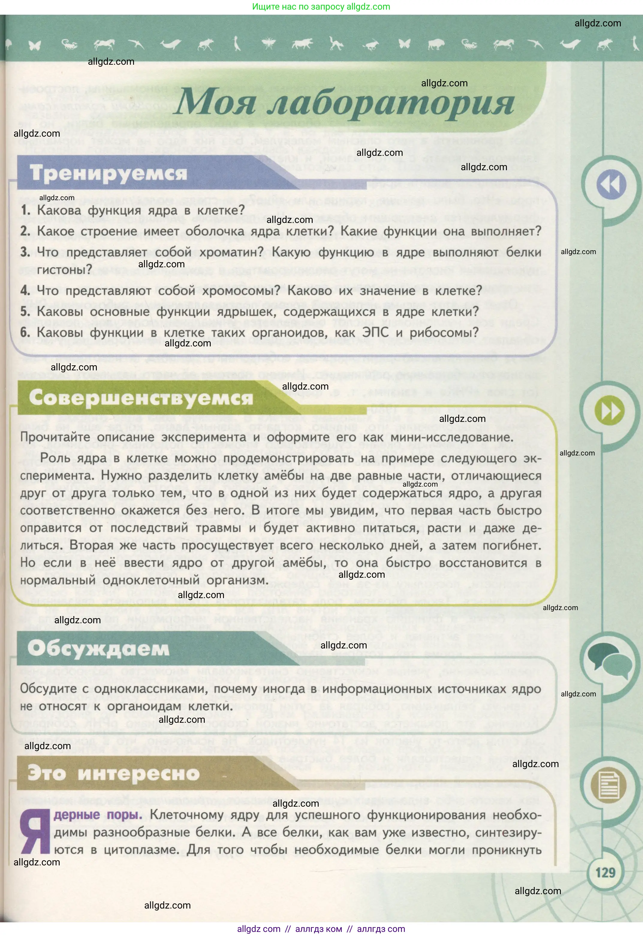 Биология, 10 класс Учебник, авторы: Пасечник Владимир Васильевич, Каменский Андрей Александрович, Рубцов Александр Михайлович, Швецов Глеб Геннадьевич, Гапонюк Зоя Георгиевна, издательство Просвещение, Москва, 2018, зелёного цвета, страница 129