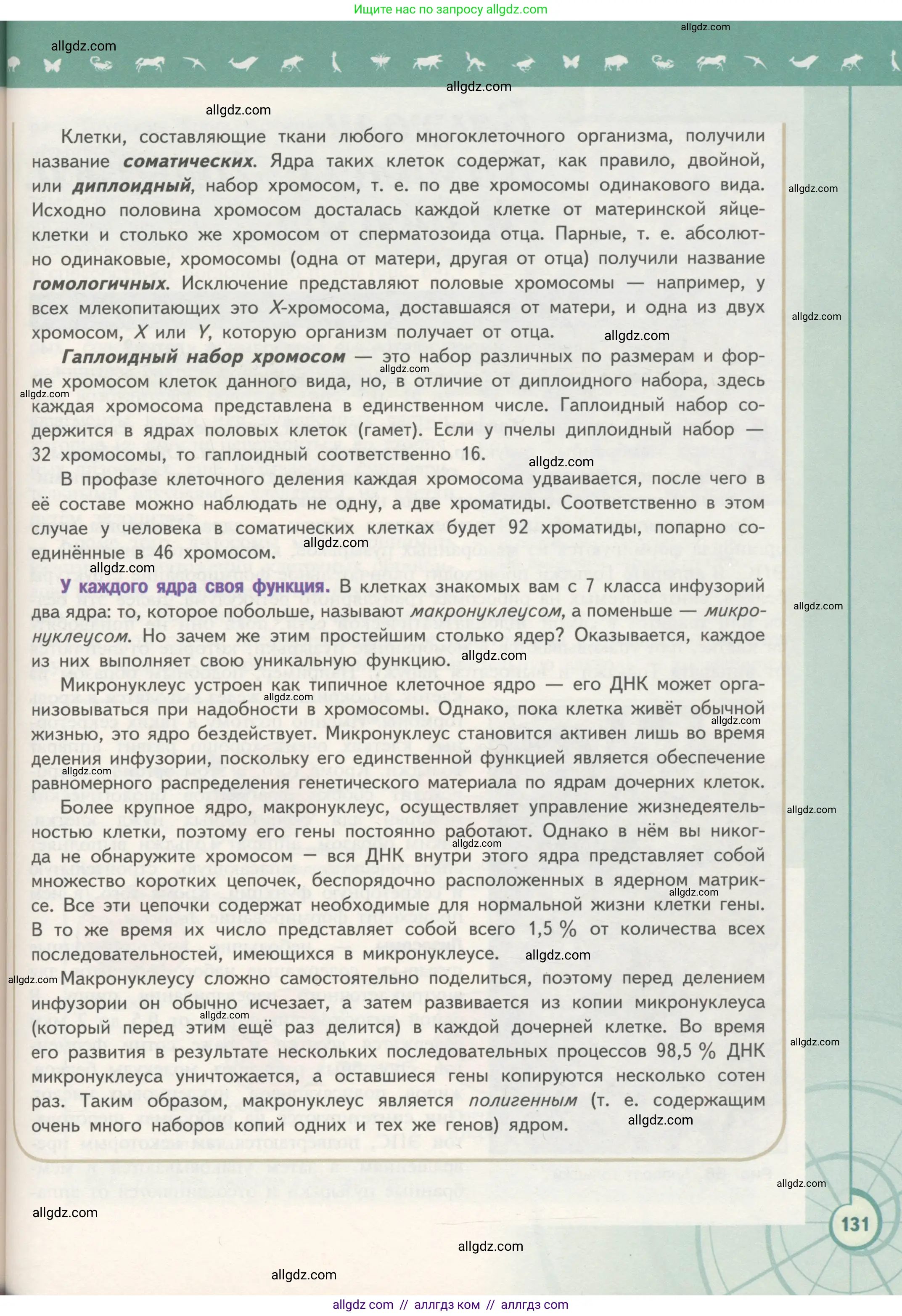 Биология, 10 класс Учебник, авторы: Пасечник Владимир Васильевич, Каменский Андрей Александрович, Рубцов Александр Михайлович, Швецов Глеб Геннадьевич, Гапонюк Зоя Георгиевна, издательство Просвещение, Москва, 2018, зелёного цвета, страница 131