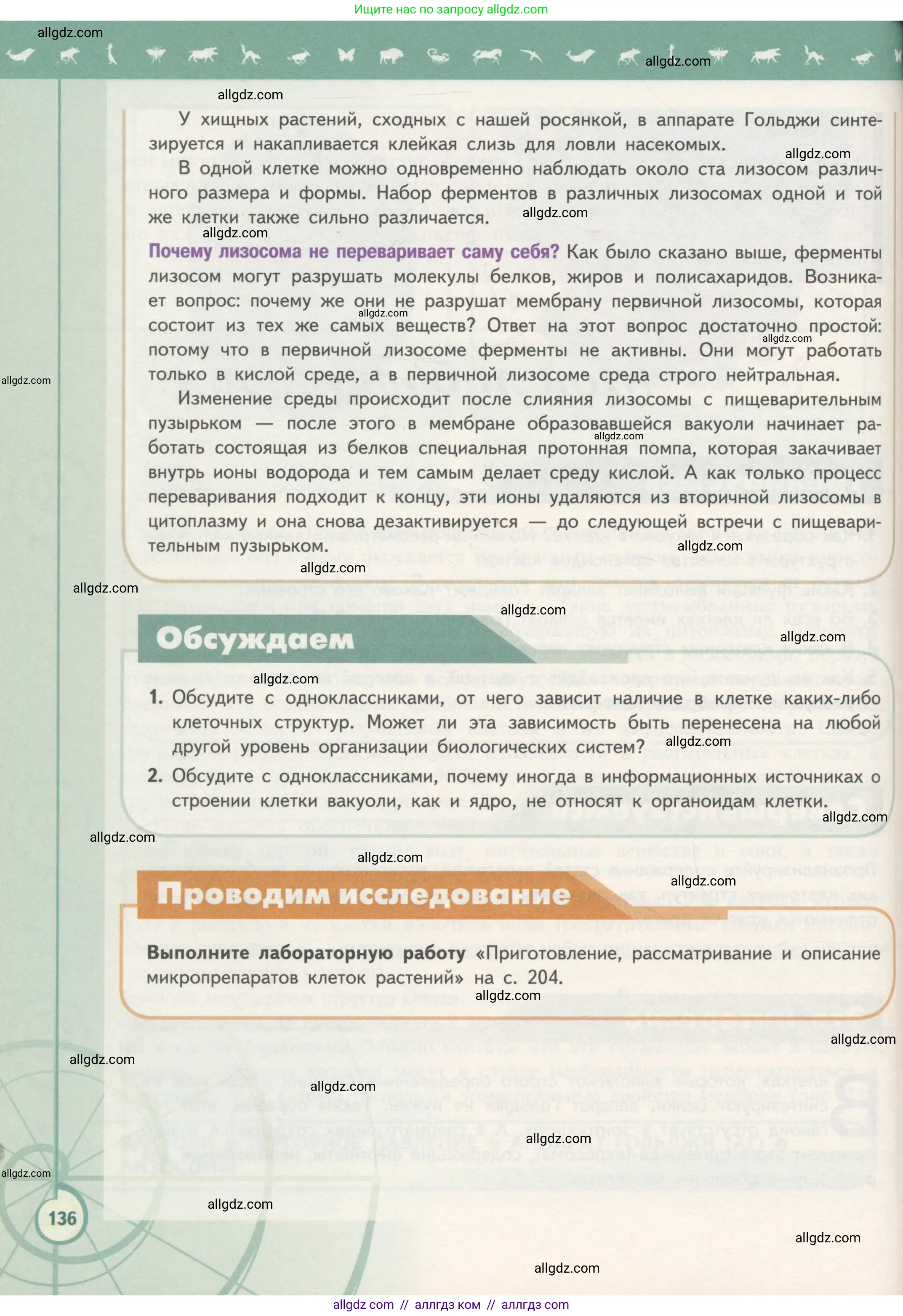 Биология, 10 класс Учебник, авторы: Пасечник Владимир Васильевич, Каменский Андрей Александрович, Рубцов Александр Михайлович, Швецов Глеб Геннадьевич, Гапонюк Зоя Георгиевна, издательство Просвещение, Москва, 2018, зелёного цвета, страница 136