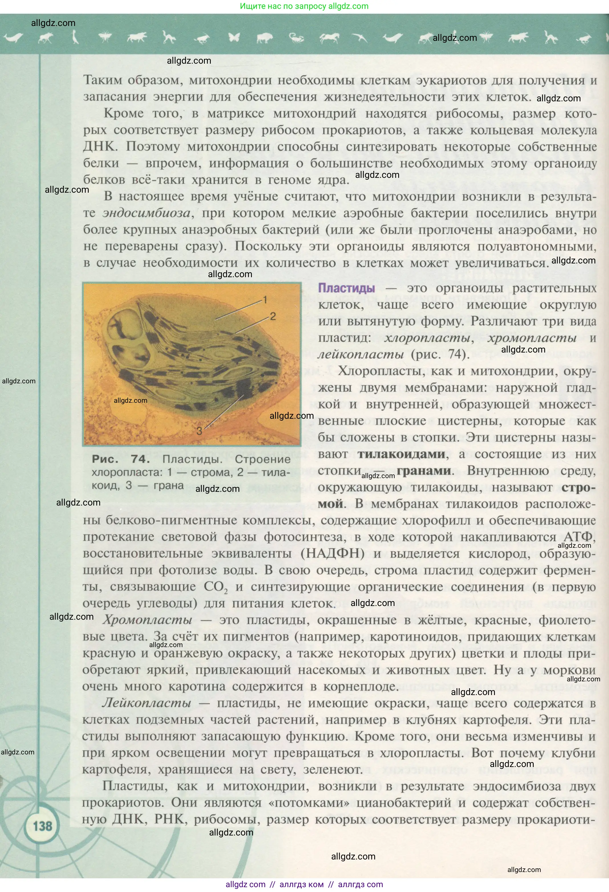 Биология, 10 класс Учебник, авторы: Пасечник Владимир Васильевич, Каменский Андрей Александрович, Рубцов Александр Михайлович, Швецов Глеб Геннадьевич, Гапонюк Зоя Георгиевна, издательство Просвещение, Москва, 2018, зелёного цвета, страница 138