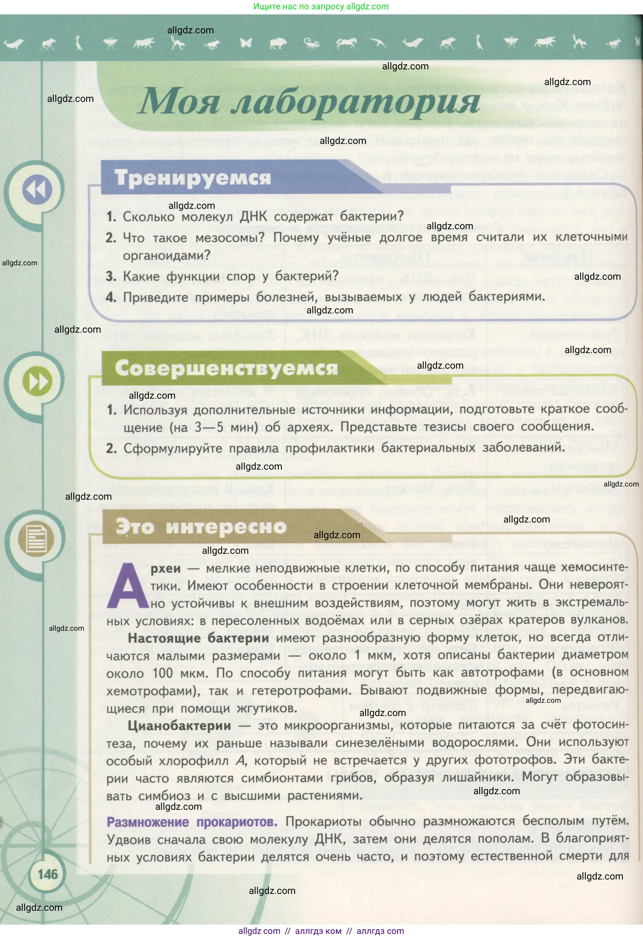 Биология, 10 класс Учебник, авторы: Пасечник Владимир Васильевич, Каменский Андрей Александрович, Рубцов Александр Михайлович, Швецов Глеб Геннадьевич, Гапонюк Зоя Георгиевна, издательство Просвещение, Москва, 2018, зелёного цвета, страница 146