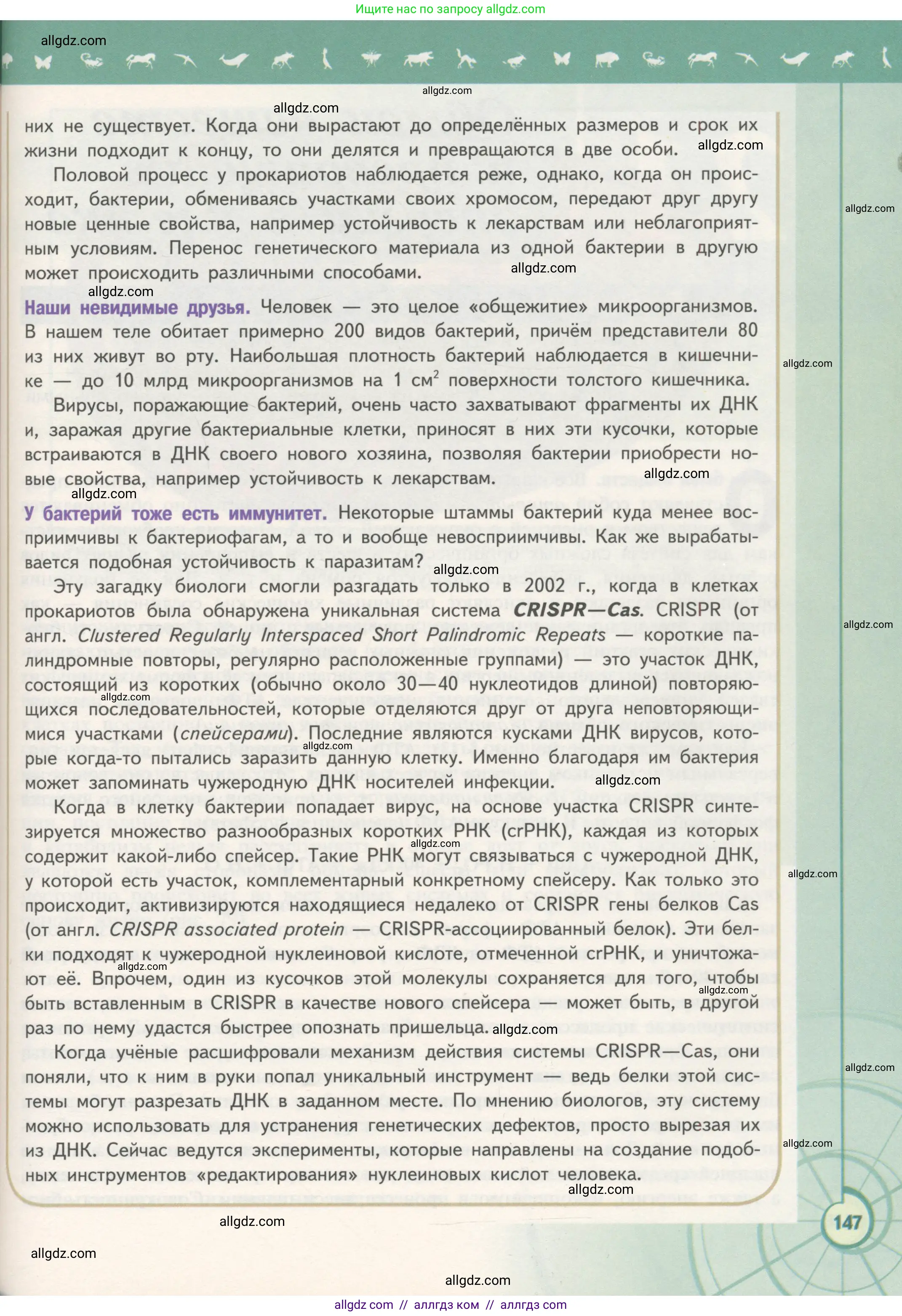 Биология, 10 класс Учебник, авторы: Пасечник Владимир Васильевич, Каменский Андрей Александрович, Рубцов Александр Михайлович, Швецов Глеб Геннадьевич, Гапонюк Зоя Георгиевна, издательство Просвещение, Москва, 2018, зелёного цвета, страница 147