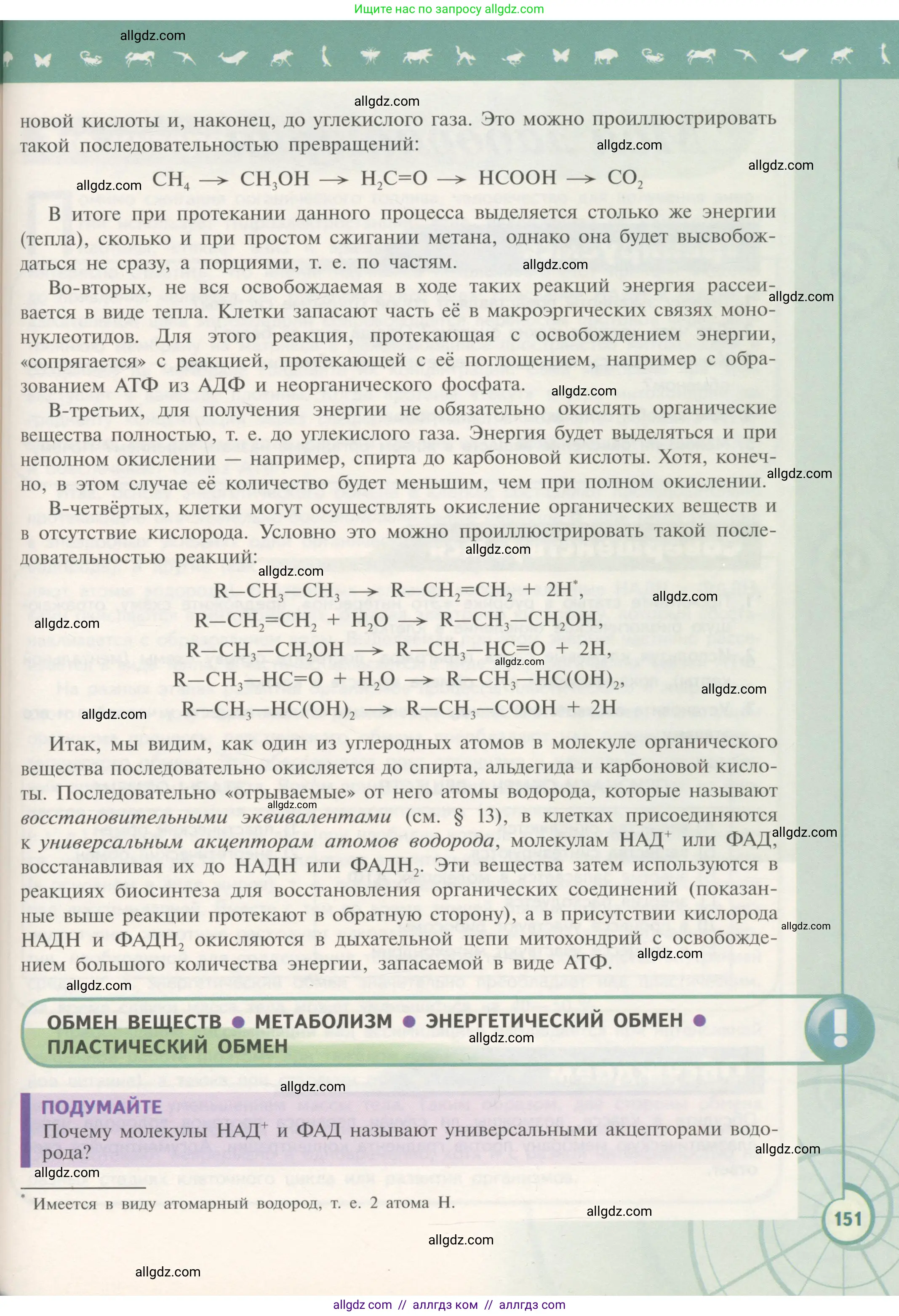 Биология, 10 класс Учебник, авторы: Пасечник Владимир Васильевич, Каменский Андрей Александрович, Рубцов Александр Михайлович, Швецов Глеб Геннадьевич, Гапонюк Зоя Георгиевна, издательство Просвещение, Москва, 2018, зелёного цвета, страница 151