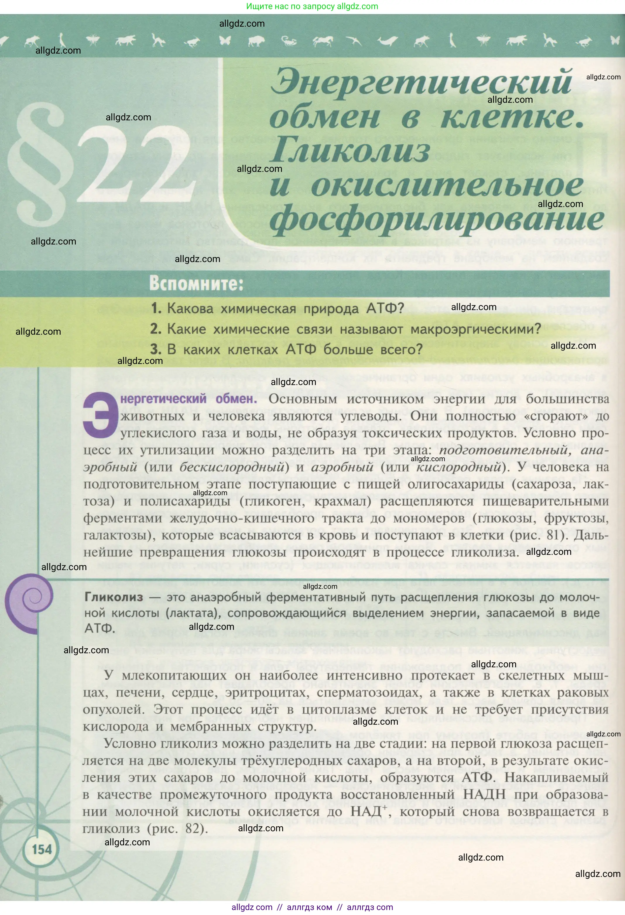 Биология, 10 класс Учебник, авторы: Пасечник Владимир Васильевич, Каменский Андрей Александрович, Рубцов Александр Михайлович, Швецов Глеб Геннадьевич, Гапонюк Зоя Георгиевна, издательство Просвещение, Москва, 2018, зелёного цвета, страница 154