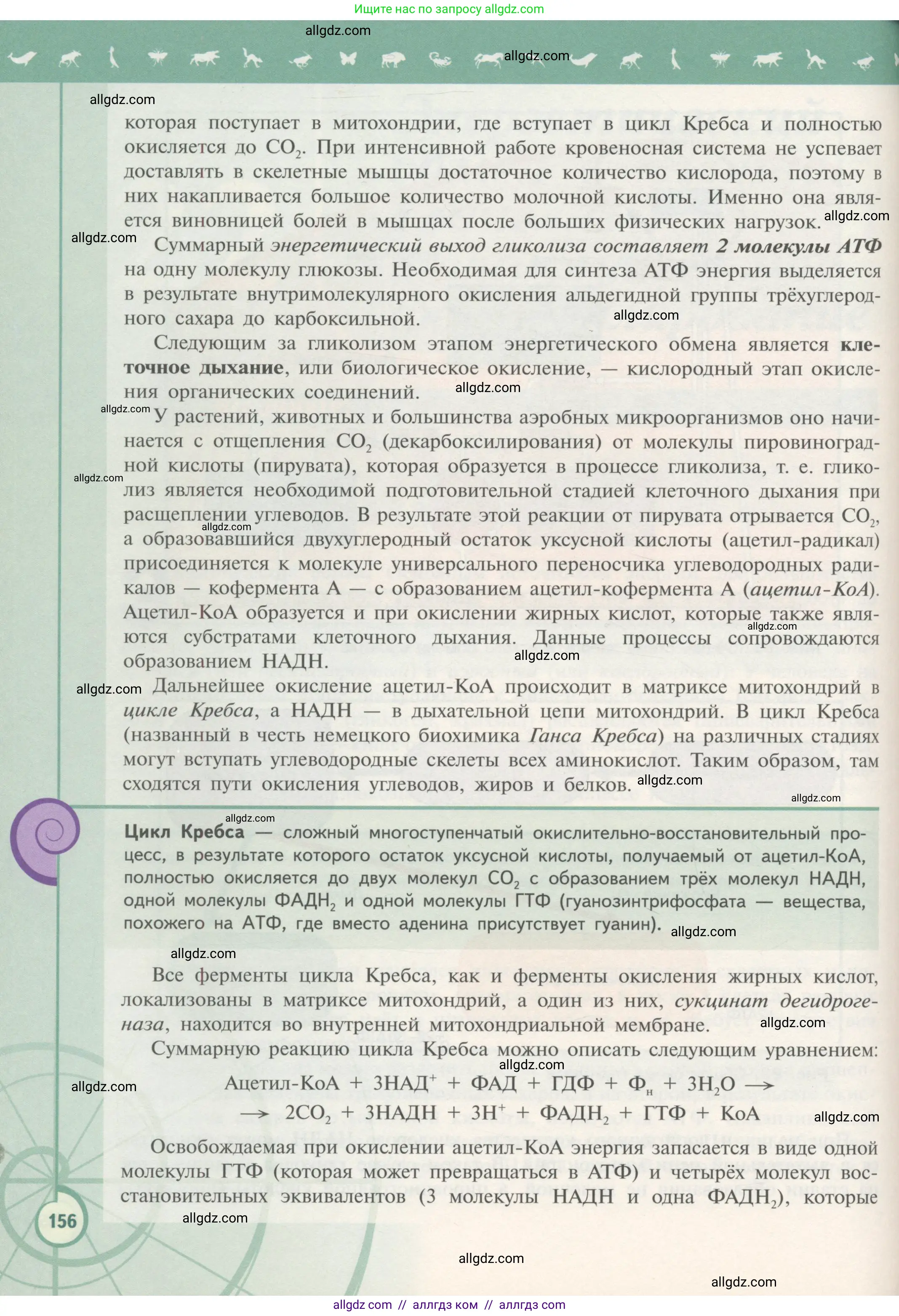 Биология, 10 класс Учебник, авторы: Пасечник Владимир Васильевич, Каменский Андрей Александрович, Рубцов Александр Михайлович, Швецов Глеб Геннадьевич, Гапонюк Зоя Георгиевна, издательство Просвещение, Москва, 2018, зелёного цвета, страница 156