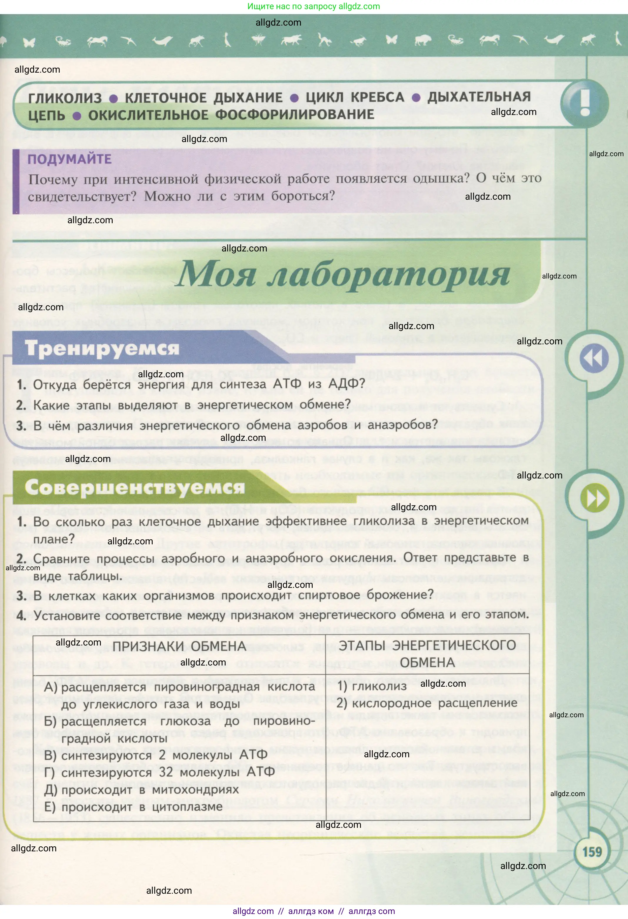 Биология, 10 класс Учебник, авторы: Пасечник Владимир Васильевич, Каменский Андрей Александрович, Рубцов Александр Михайлович, Швецов Глеб Геннадьевич, Гапонюк Зоя Георгиевна, издательство Просвещение, Москва, 2018, зелёного цвета, страница 159