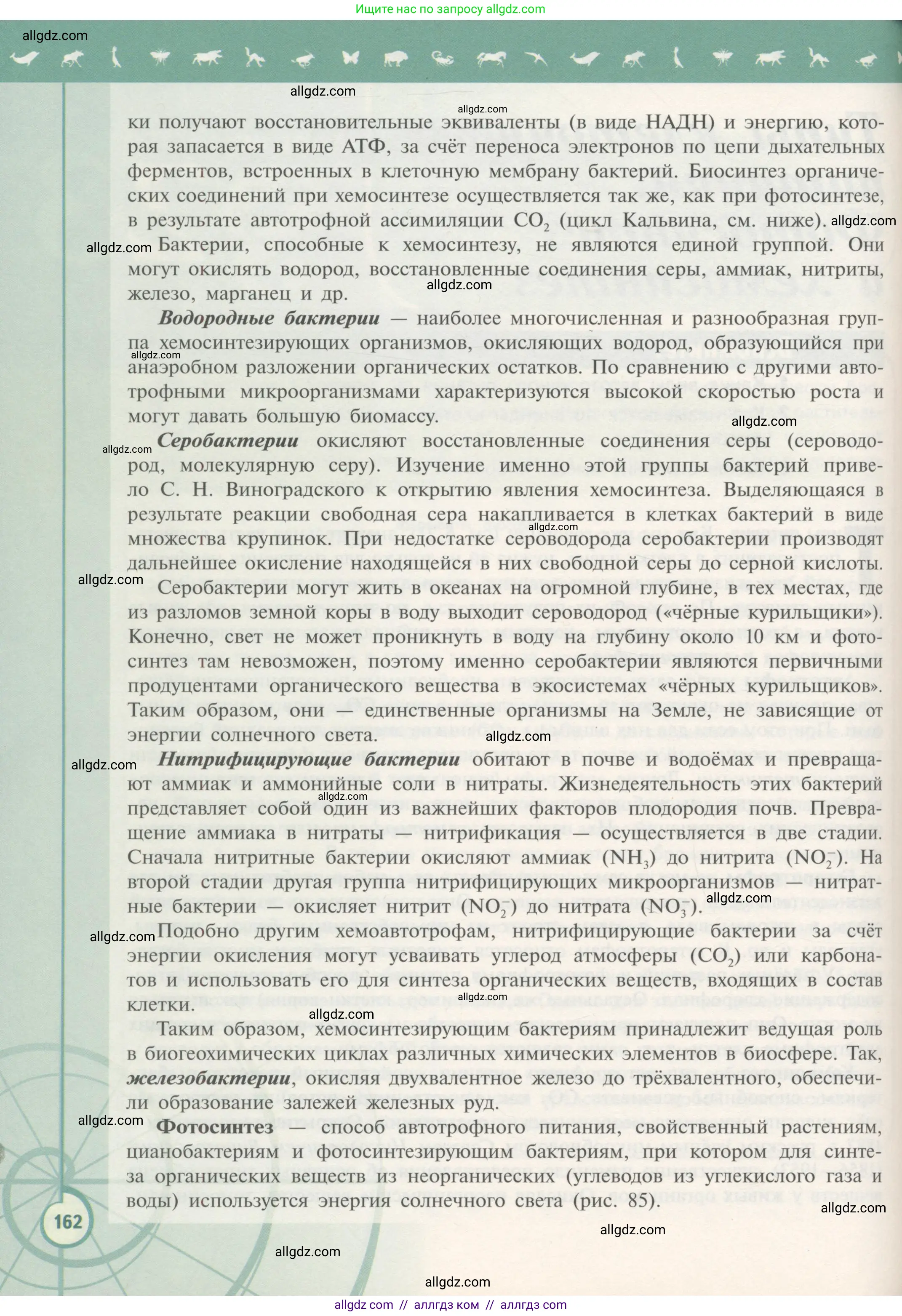 Биология, 10 класс Учебник, авторы: Пасечник Владимир Васильевич, Каменский Андрей Александрович, Рубцов Александр Михайлович, Швецов Глеб Геннадьевич, Гапонюк Зоя Георгиевна, издательство Просвещение, Москва, 2018, зелёного цвета, страница 162