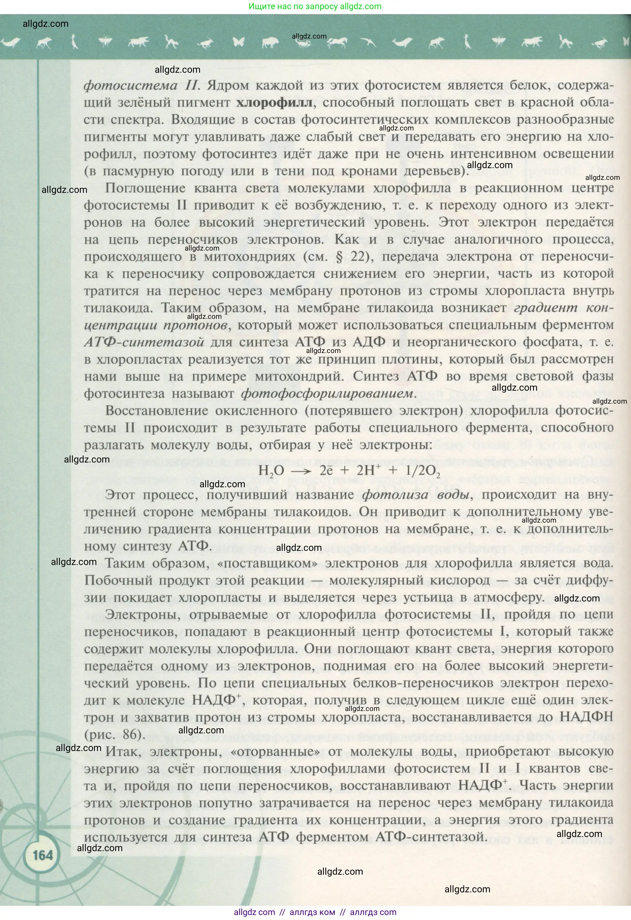Биология, 10 класс Учебник, авторы: Пасечник Владимир Васильевич, Каменский Андрей Александрович, Рубцов Александр Михайлович, Швецов Глеб Геннадьевич, Гапонюк Зоя Георгиевна, издательство Просвещение, Москва, 2018, зелёного цвета, страница 164