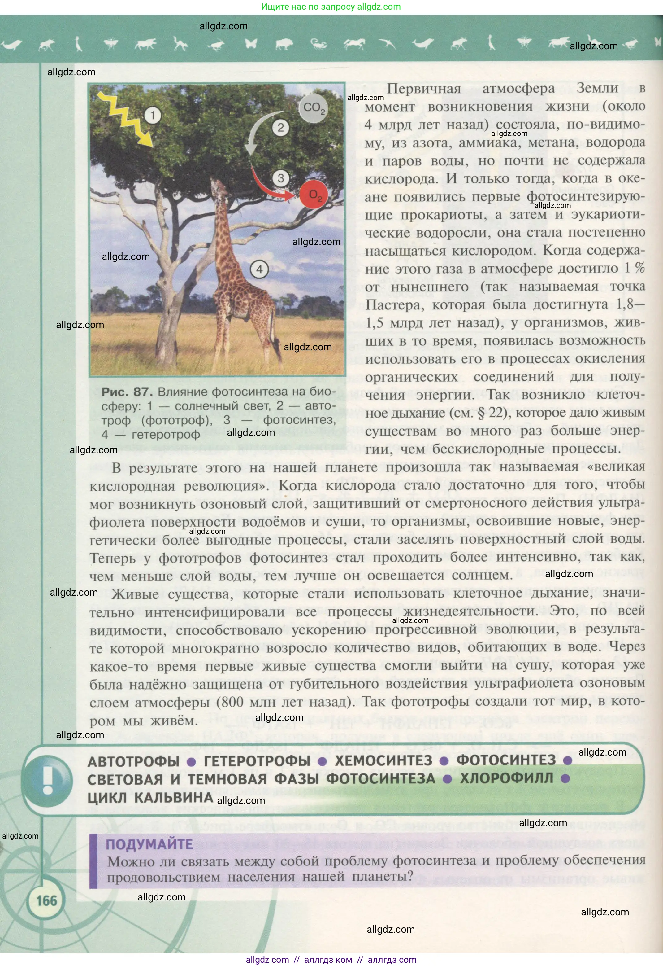 Биология, 10 класс Учебник, авторы: Пасечник Владимир Васильевич, Каменский Андрей Александрович, Рубцов Александр Михайлович, Швецов Глеб Геннадьевич, Гапонюк Зоя Георгиевна, издательство Просвещение, Москва, 2018, зелёного цвета, страница 166
