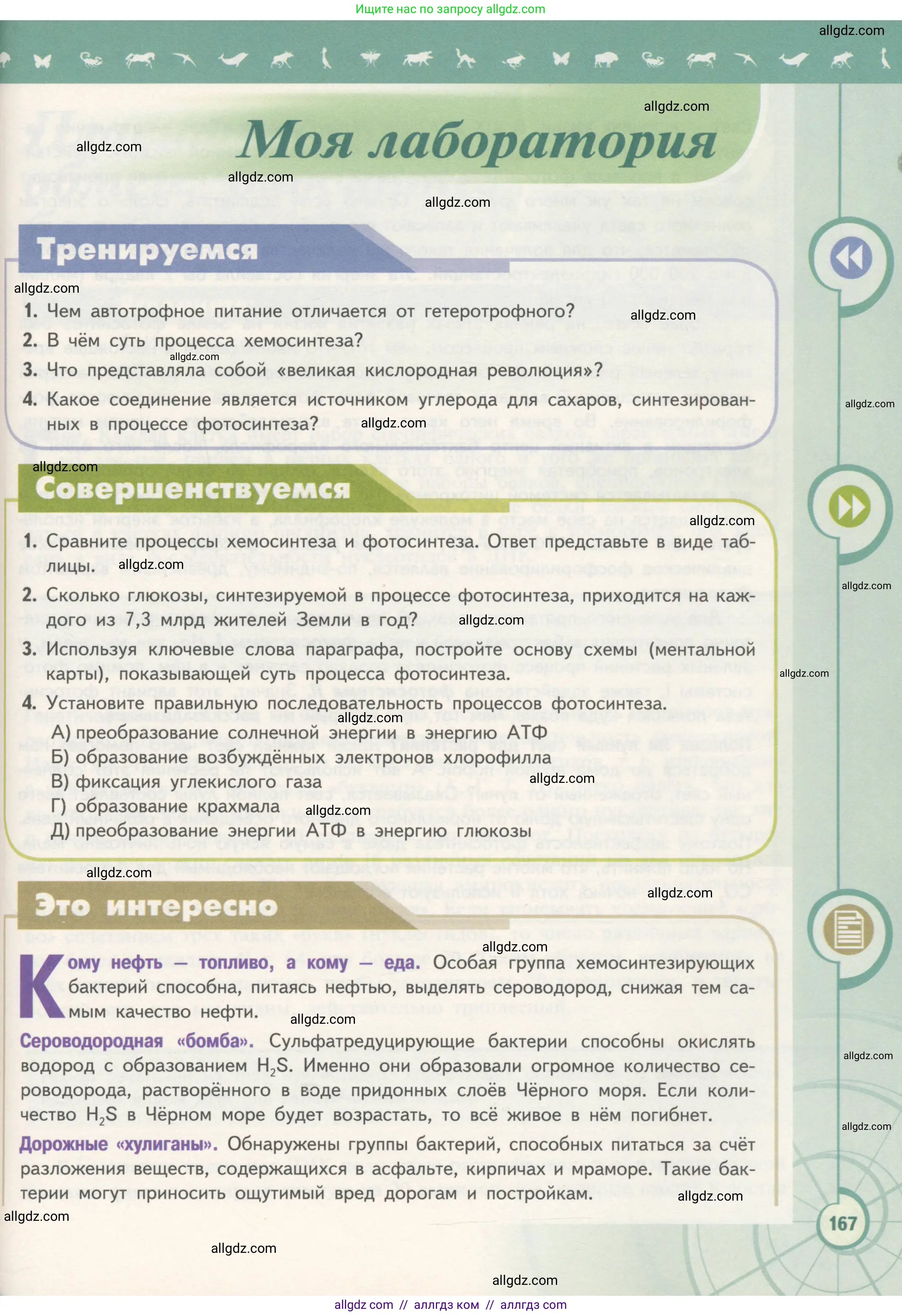 Биология, 10 класс Учебник, авторы: Пасечник Владимир Васильевич, Каменский Андрей Александрович, Рубцов Александр Михайлович, Швецов Глеб Геннадьевич, Гапонюк Зоя Георгиевна, издательство Просвещение, Москва, 2018, зелёного цвета, страница 167