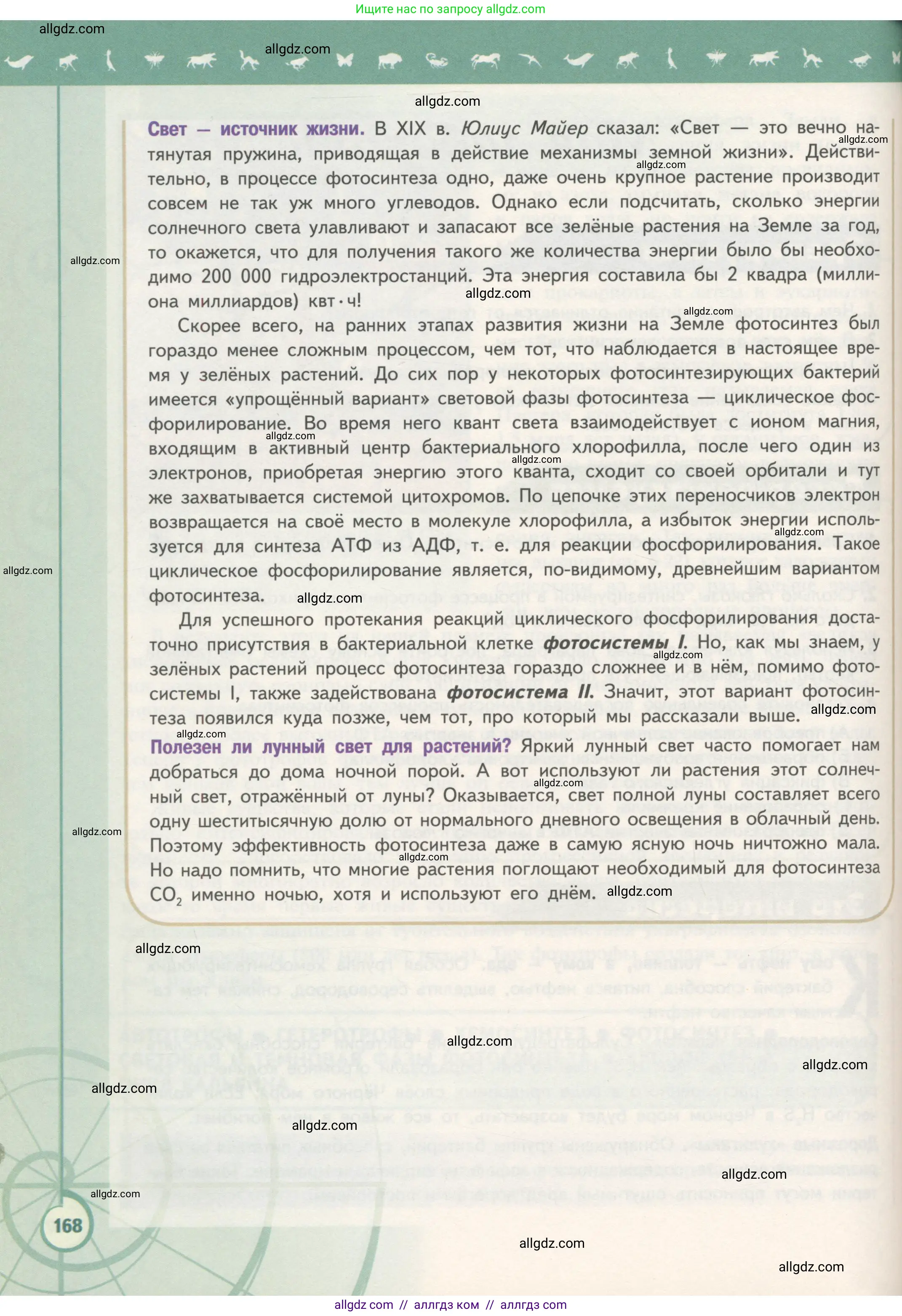 Биология, 10 класс Учебник, авторы: Пасечник Владимир Васильевич, Каменский Андрей Александрович, Рубцов Александр Михайлович, Швецов Глеб Геннадьевич, Гапонюк Зоя Георгиевна, издательство Просвещение, Москва, 2018, зелёного цвета, страница 168