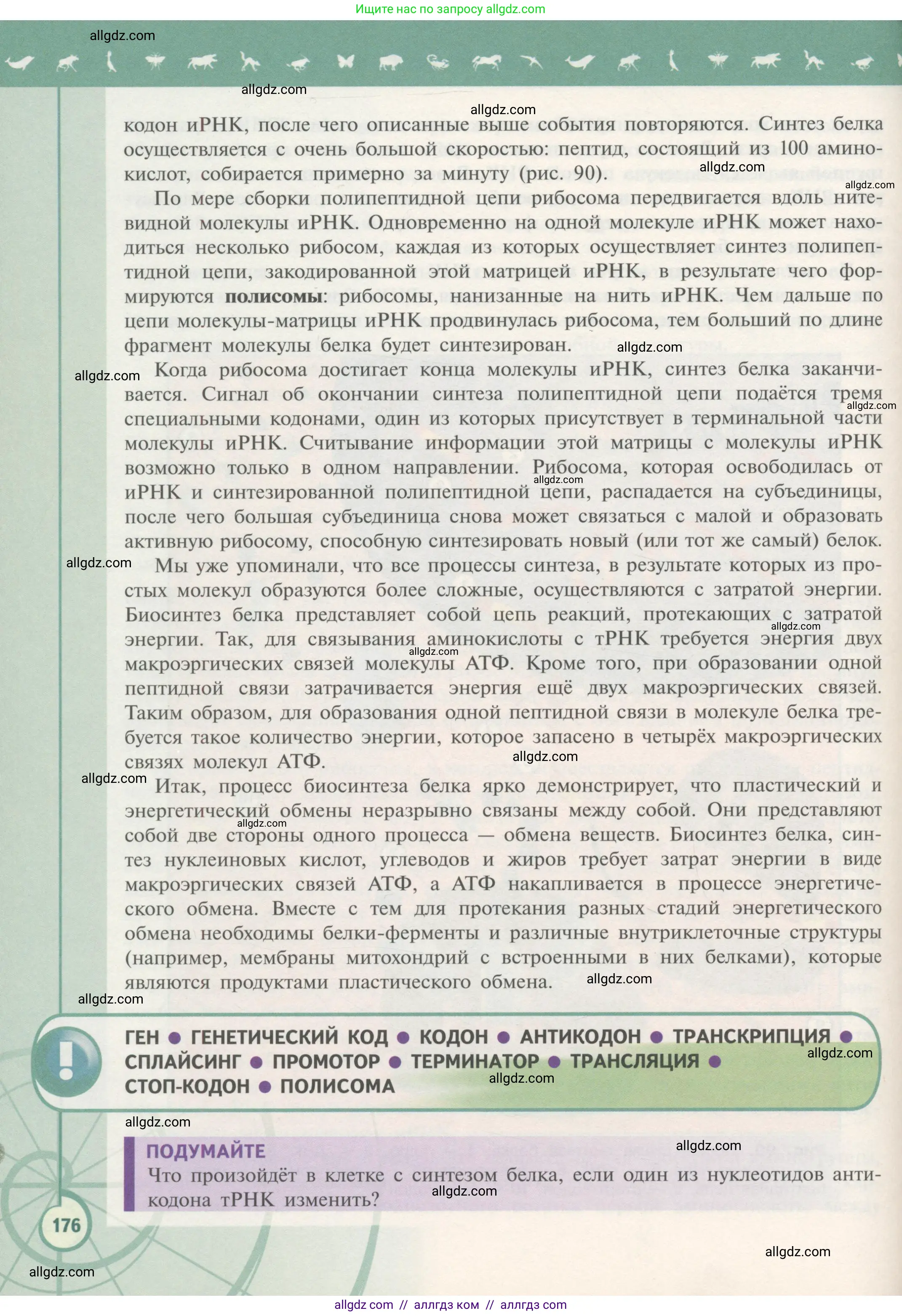 Биология, 10 класс Учебник, авторы: Пасечник Владимир Васильевич, Каменский Андрей Александрович, Рубцов Александр Михайлович, Швецов Глеб Геннадьевич, Гапонюк Зоя Георгиевна, издательство Просвещение, Москва, 2018, зелёного цвета, страница 176