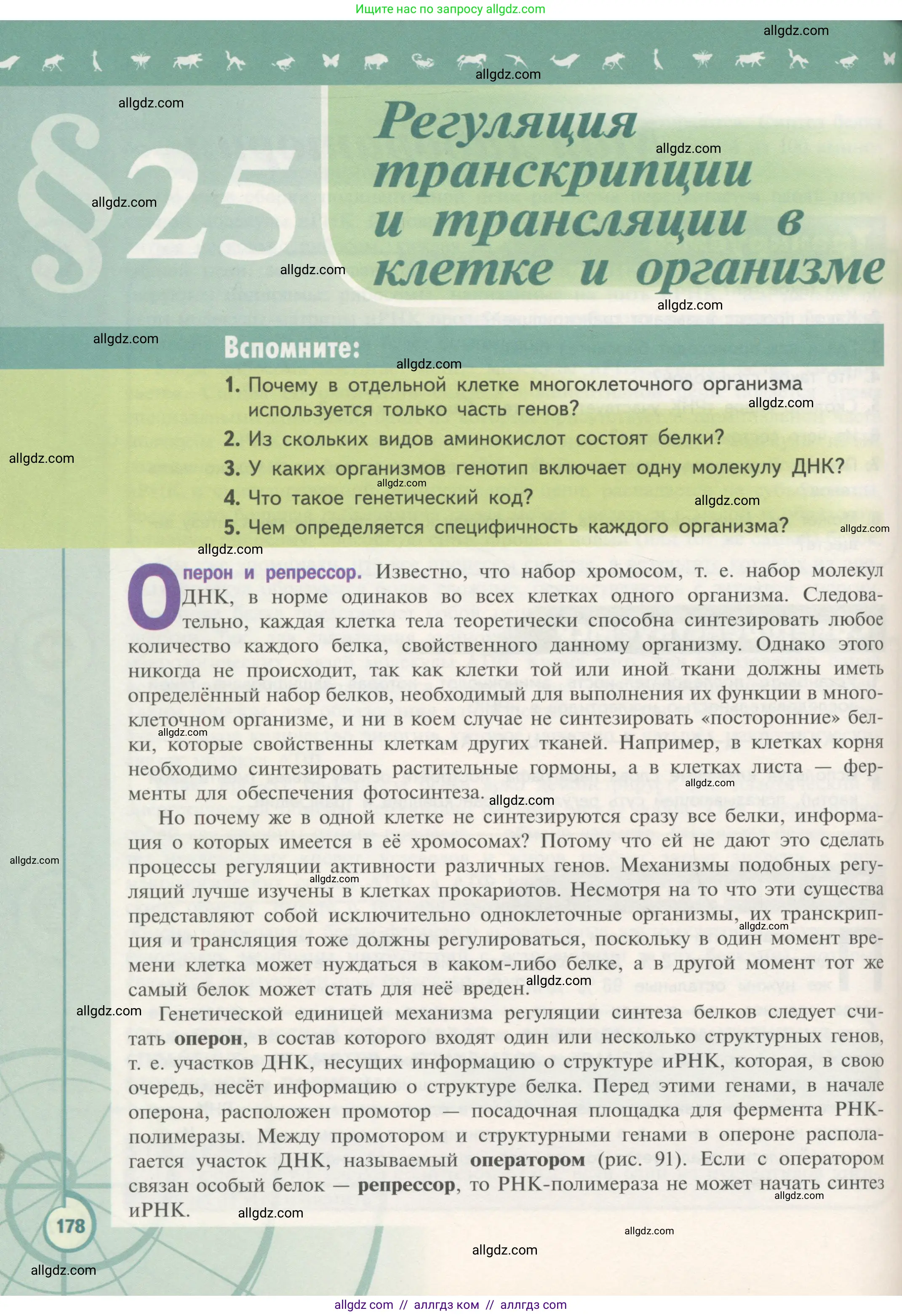 Биология, 10 класс Учебник, авторы: Пасечник Владимир Васильевич, Каменский Андрей Александрович, Рубцов Александр Михайлович, Швецов Глеб Геннадьевич, Гапонюк Зоя Георгиевна, издательство Просвещение, Москва, 2018, зелёного цвета, страница 178