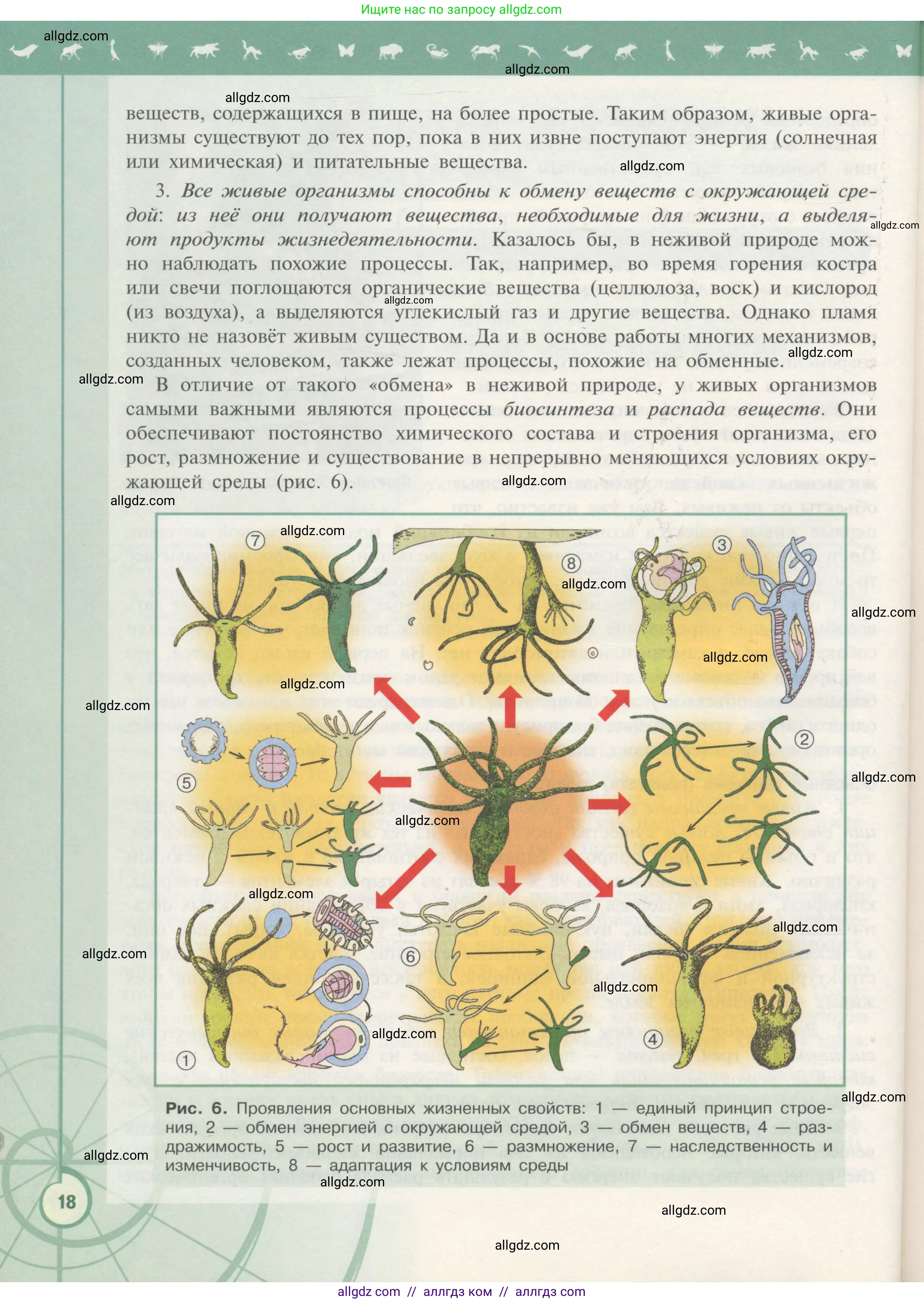 Биология, 10 класс Учебник, авторы: Пасечник Владимир Васильевич, Каменский Андрей Александрович, Рубцов Александр Михайлович, Швецов Глеб Геннадьевич, Гапонюк Зоя Георгиевна, издательство Просвещение, Москва, 2018, зелёного цвета, страница 18