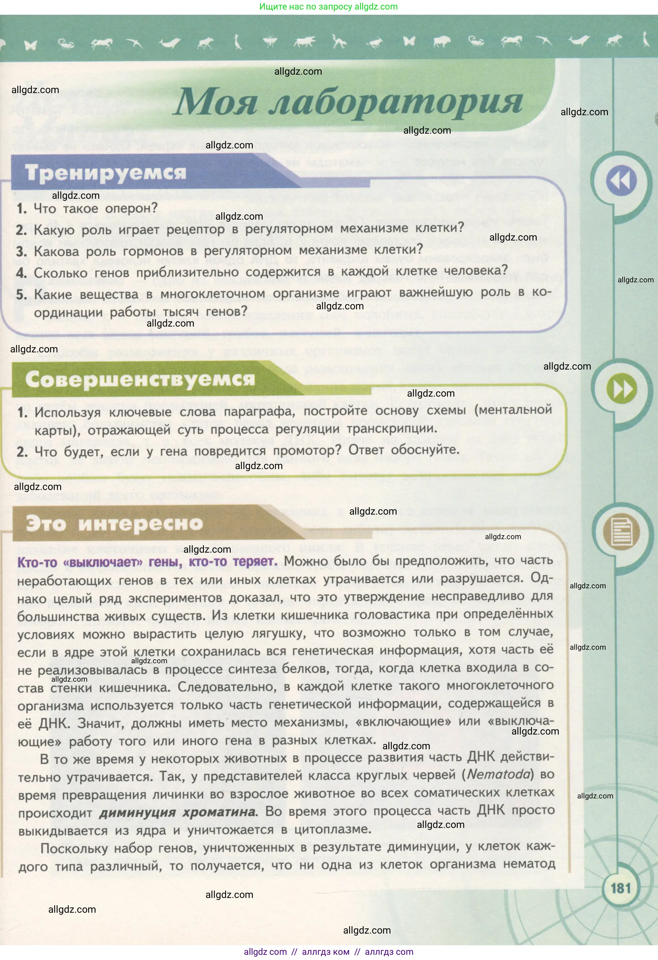 Биология, 10 класс Учебник, авторы: Пасечник Владимир Васильевич, Каменский Андрей Александрович, Рубцов Александр Михайлович, Швецов Глеб Геннадьевич, Гапонюк Зоя Георгиевна, издательство Просвещение, Москва, 2018, зелёного цвета, страница 181