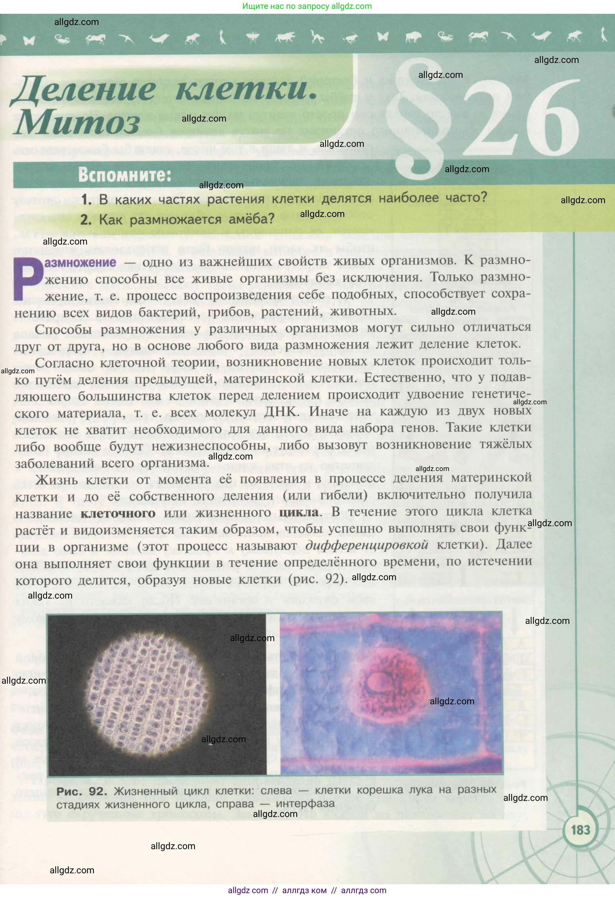 Биология, 10 класс Учебник, авторы: Пасечник Владимир Васильевич, Каменский Андрей Александрович, Рубцов Александр Михайлович, Швецов Глеб Геннадьевич, Гапонюк Зоя Георгиевна, издательство Просвещение, Москва, 2018, зелёного цвета, страница 183