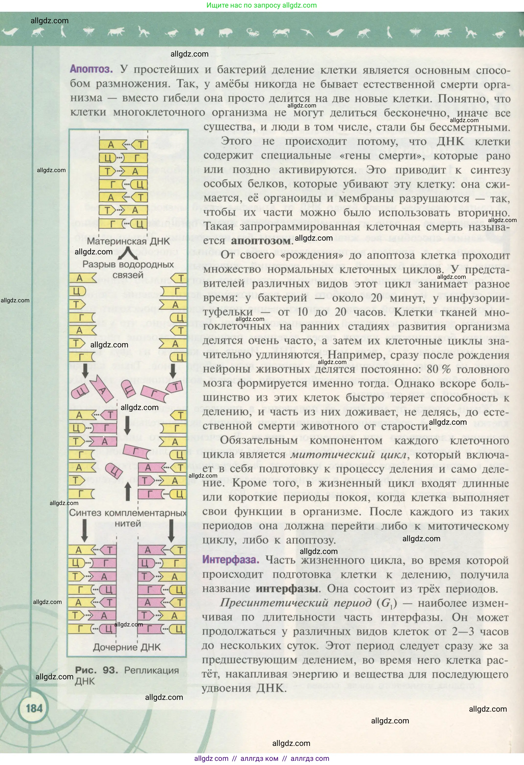 Биология, 10 класс Учебник, авторы: Пасечник Владимир Васильевич, Каменский Андрей Александрович, Рубцов Александр Михайлович, Швецов Глеб Геннадьевич, Гапонюк Зоя Георгиевна, издательство Просвещение, Москва, 2018, зелёного цвета, страница 184