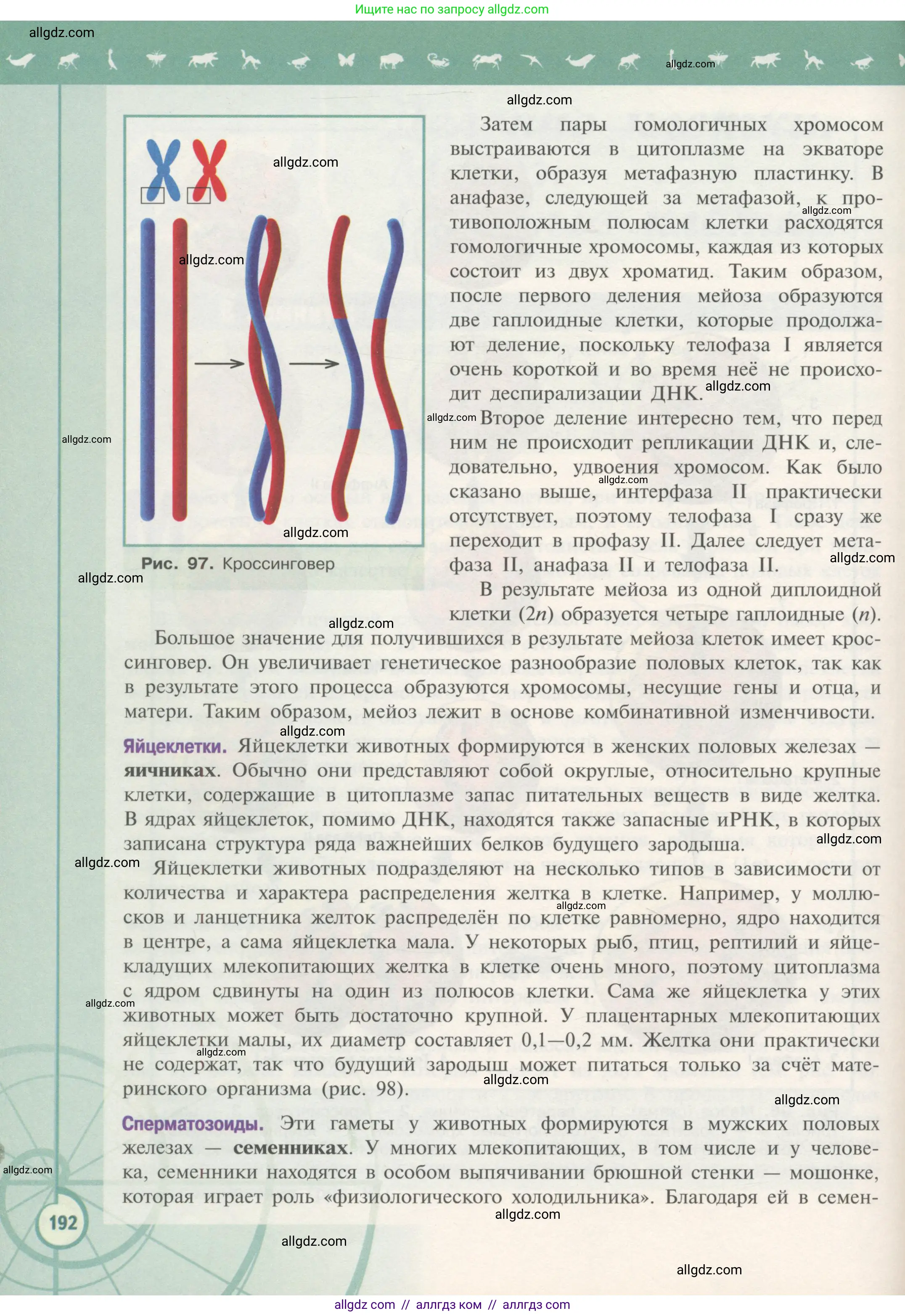 Биология, 10 класс Учебник, авторы: Пасечник Владимир Васильевич, Каменский Андрей Александрович, Рубцов Александр Михайлович, Швецов Глеб Геннадьевич, Гапонюк Зоя Георгиевна, издательство Просвещение, Москва, 2018, зелёного цвета, страница 192