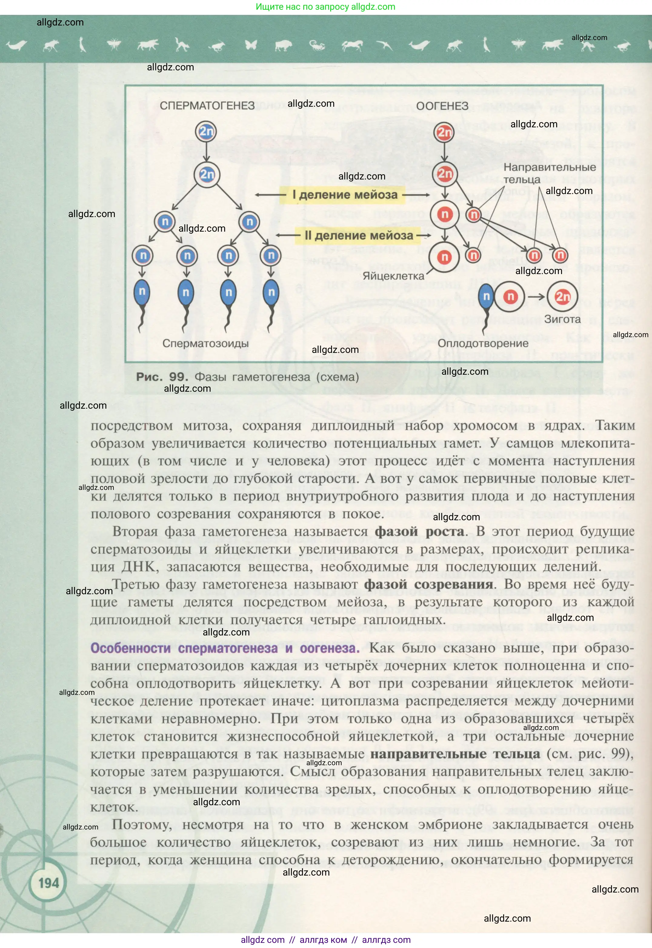 Биология, 10 класс Учебник, авторы: Пасечник Владимир Васильевич, Каменский Андрей Александрович, Рубцов Александр Михайлович, Швецов Глеб Геннадьевич, Гапонюк Зоя Георгиевна, издательство Просвещение, Москва, 2018, зелёного цвета, страница 194