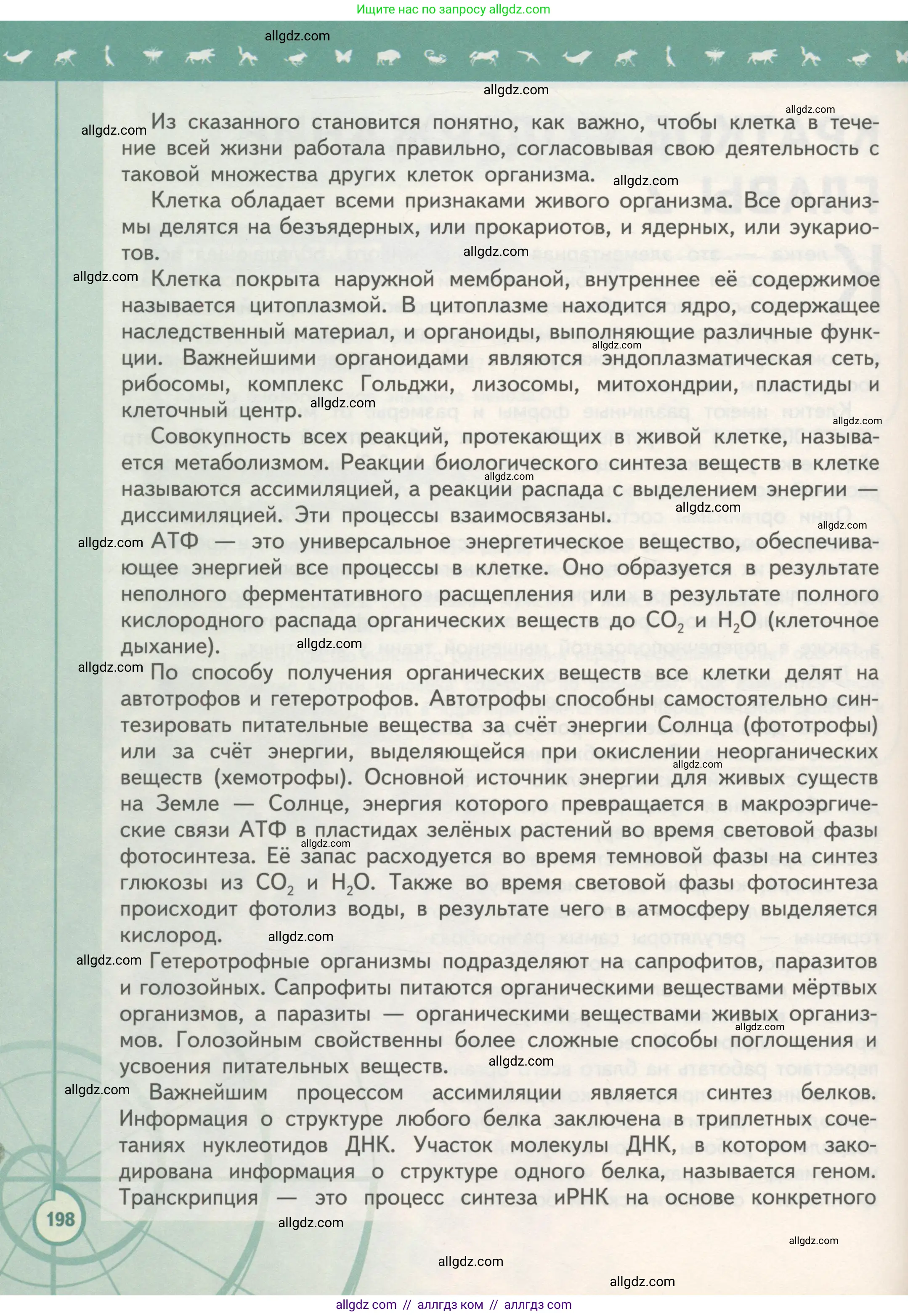 Биология, 10 класс Учебник, авторы: Пасечник Владимир Васильевич, Каменский Андрей Александрович, Рубцов Александр Михайлович, Швецов Глеб Геннадьевич, Гапонюк Зоя Георгиевна, издательство Просвещение, Москва, 2018, зелёного цвета, страница 198