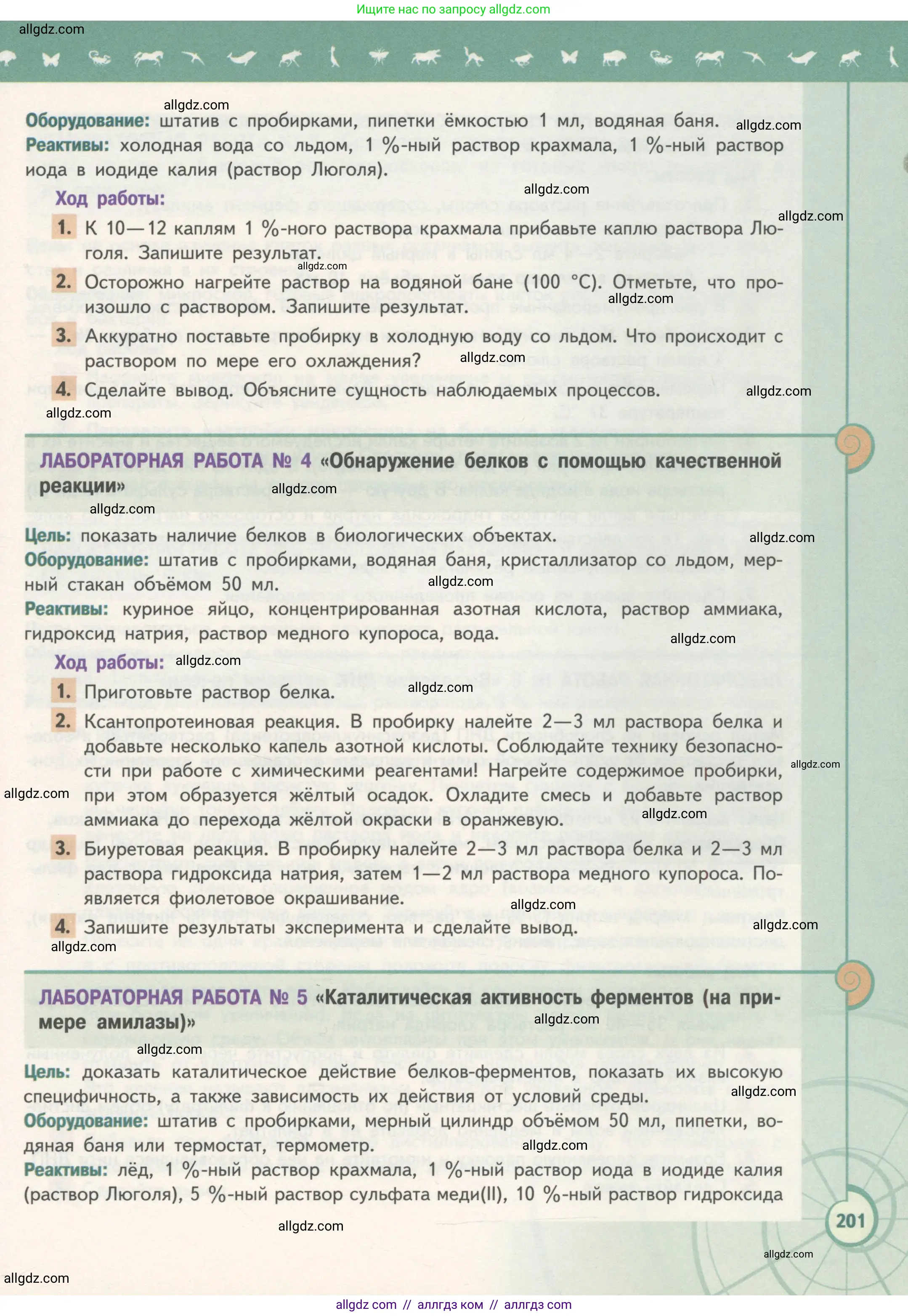 Биология, 10 класс Учебник, авторы: Пасечник Владимир Васильевич, Каменский Андрей Александрович, Рубцов Александр Михайлович, Швецов Глеб Геннадьевич, Гапонюк Зоя Георгиевна, издательство Просвещение, Москва, 2018, зелёного цвета, страница 201