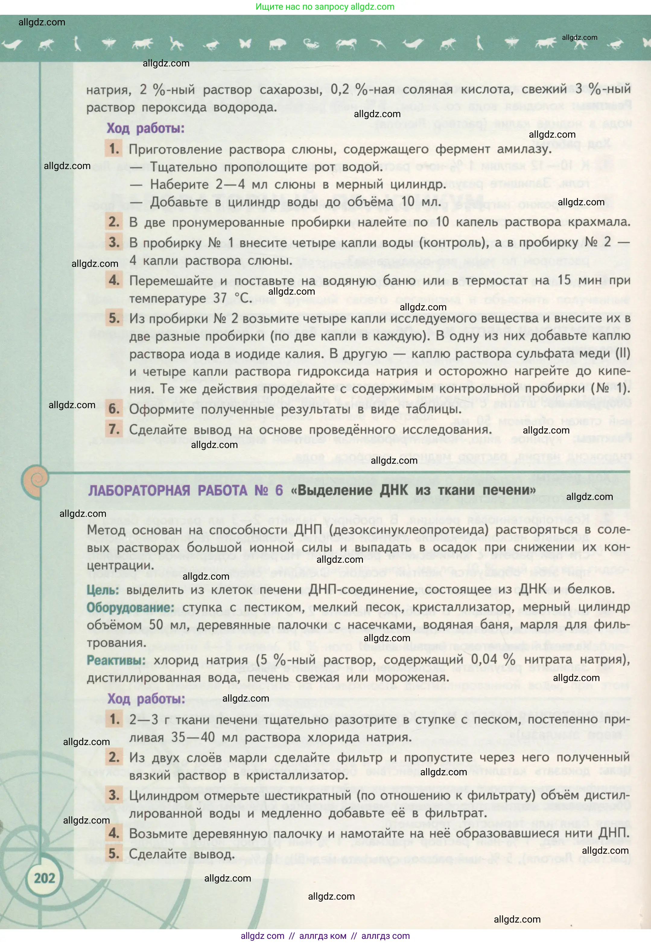 Биология, 10 класс Учебник, авторы: Пасечник Владимир Васильевич, Каменский Андрей Александрович, Рубцов Александр Михайлович, Швецов Глеб Геннадьевич, Гапонюк Зоя Георгиевна, издательство Просвещение, Москва, 2018, зелёного цвета, страница 202