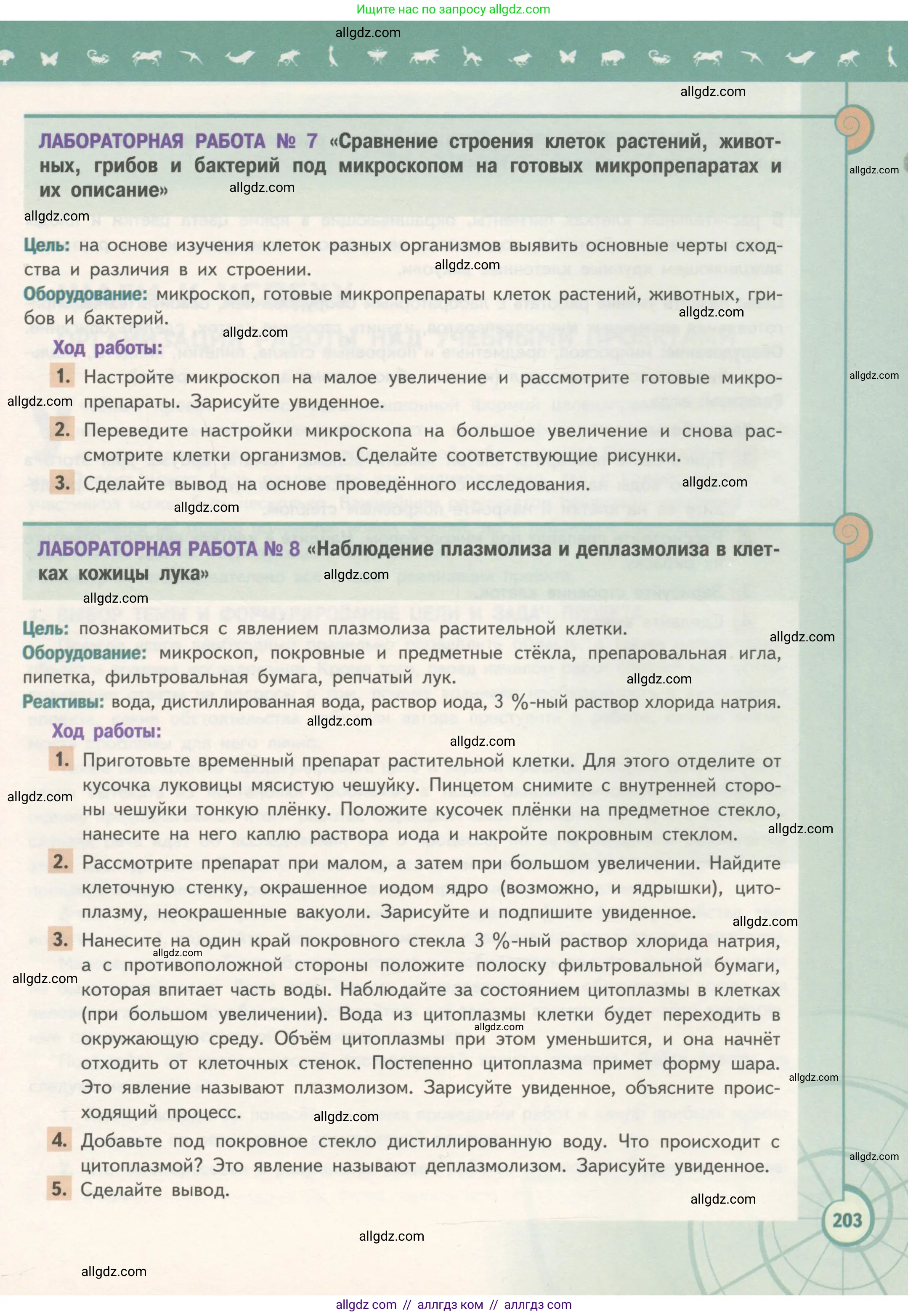 Биология, 10 класс Учебник, авторы: Пасечник Владимир Васильевич, Каменский Андрей Александрович, Рубцов Александр Михайлович, Швецов Глеб Геннадьевич, Гапонюк Зоя Георгиевна, издательство Просвещение, Москва, 2018, зелёного цвета, страница 203
