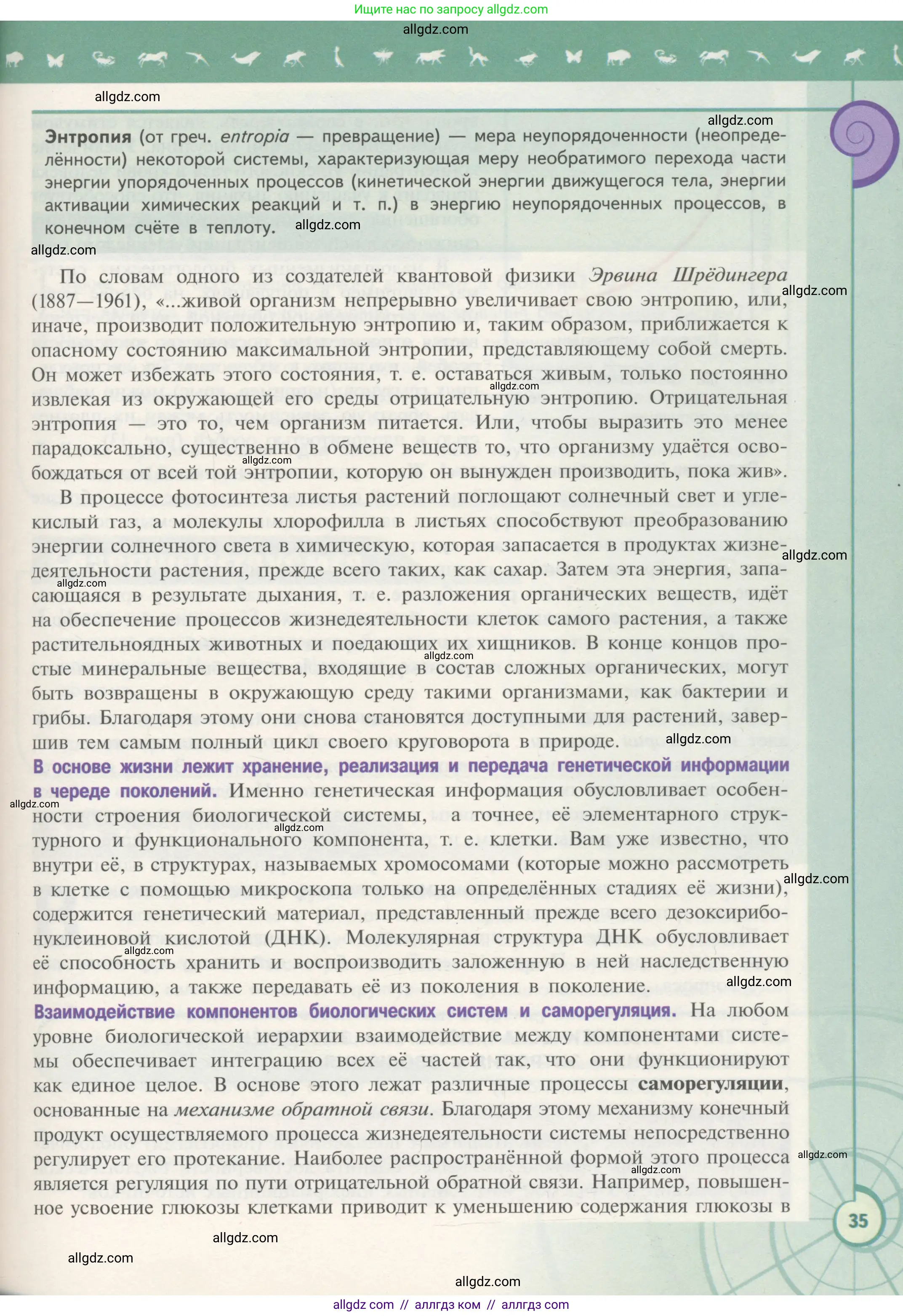 Биология, 10 класс Учебник, авторы: Пасечник Владимир Васильевич, Каменский Андрей Александрович, Рубцов Александр Михайлович, Швецов Глеб Геннадьевич, Гапонюк Зоя Георгиевна, издательство Просвещение, Москва, 2018, зелёного цвета, страница 35