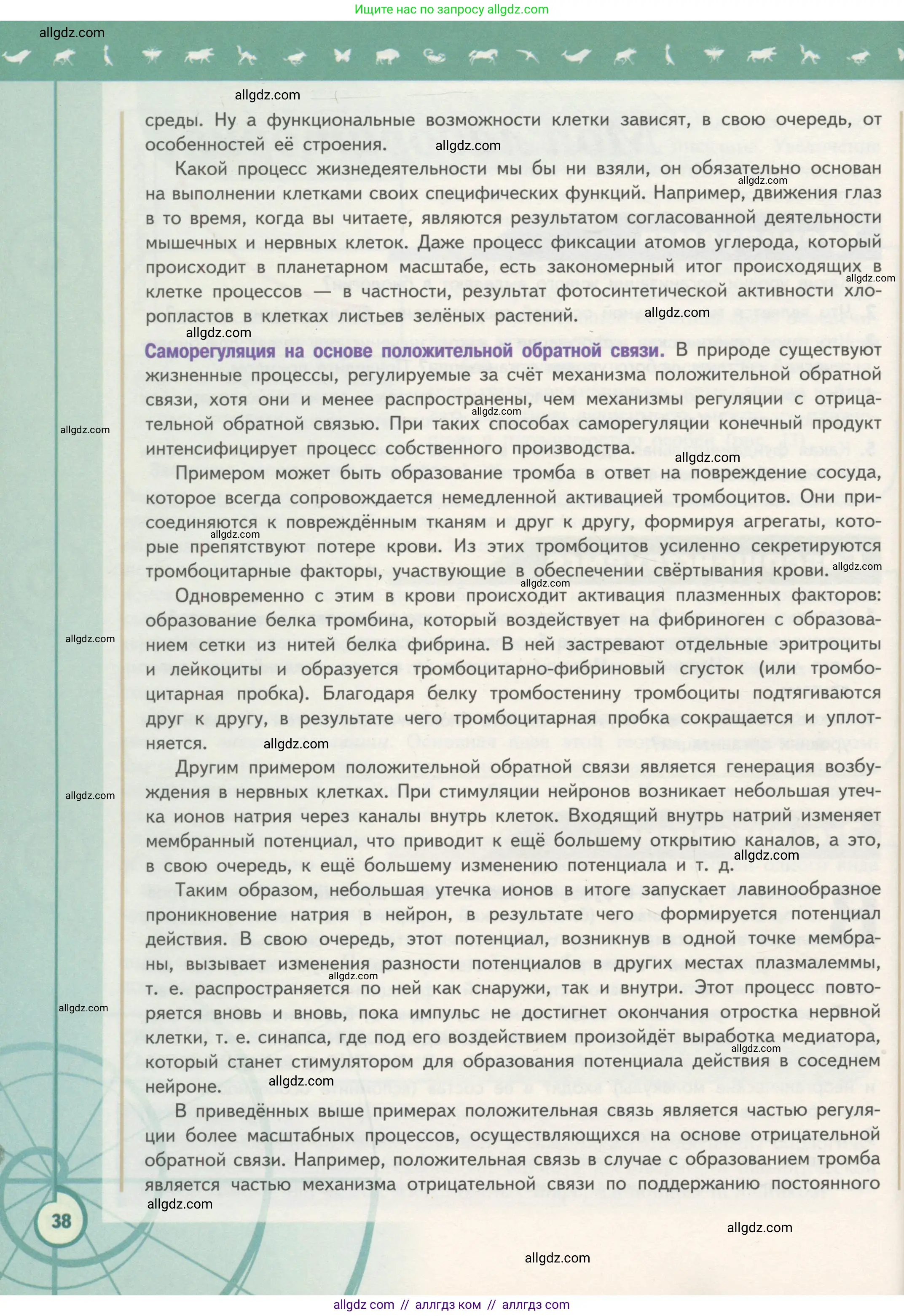 Биология, 10 класс Учебник, авторы: Пасечник Владимир Васильевич, Каменский Андрей Александрович, Рубцов Александр Михайлович, Швецов Глеб Геннадьевич, Гапонюк Зоя Георгиевна, издательство Просвещение, Москва, 2018, зелёного цвета, страница 38