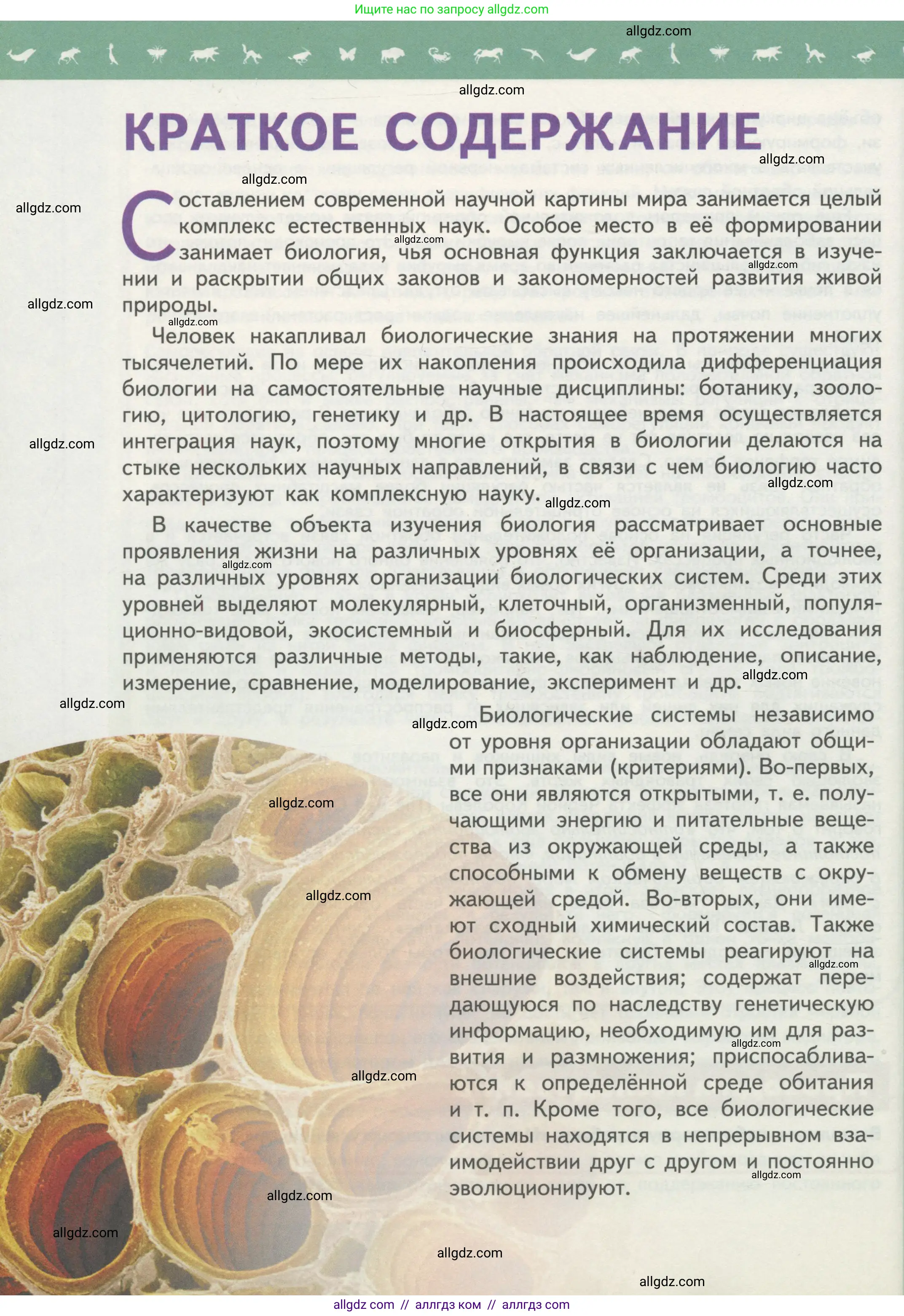 Биология, 10 класс Учебник, авторы: Пасечник Владимир Васильевич, Каменский Андрей Александрович, Рубцов Александр Михайлович, Швецов Глеб Геннадьевич, Гапонюк Зоя Георгиевна, издательство Просвещение, Москва, 2018, зелёного цвета, страница 40