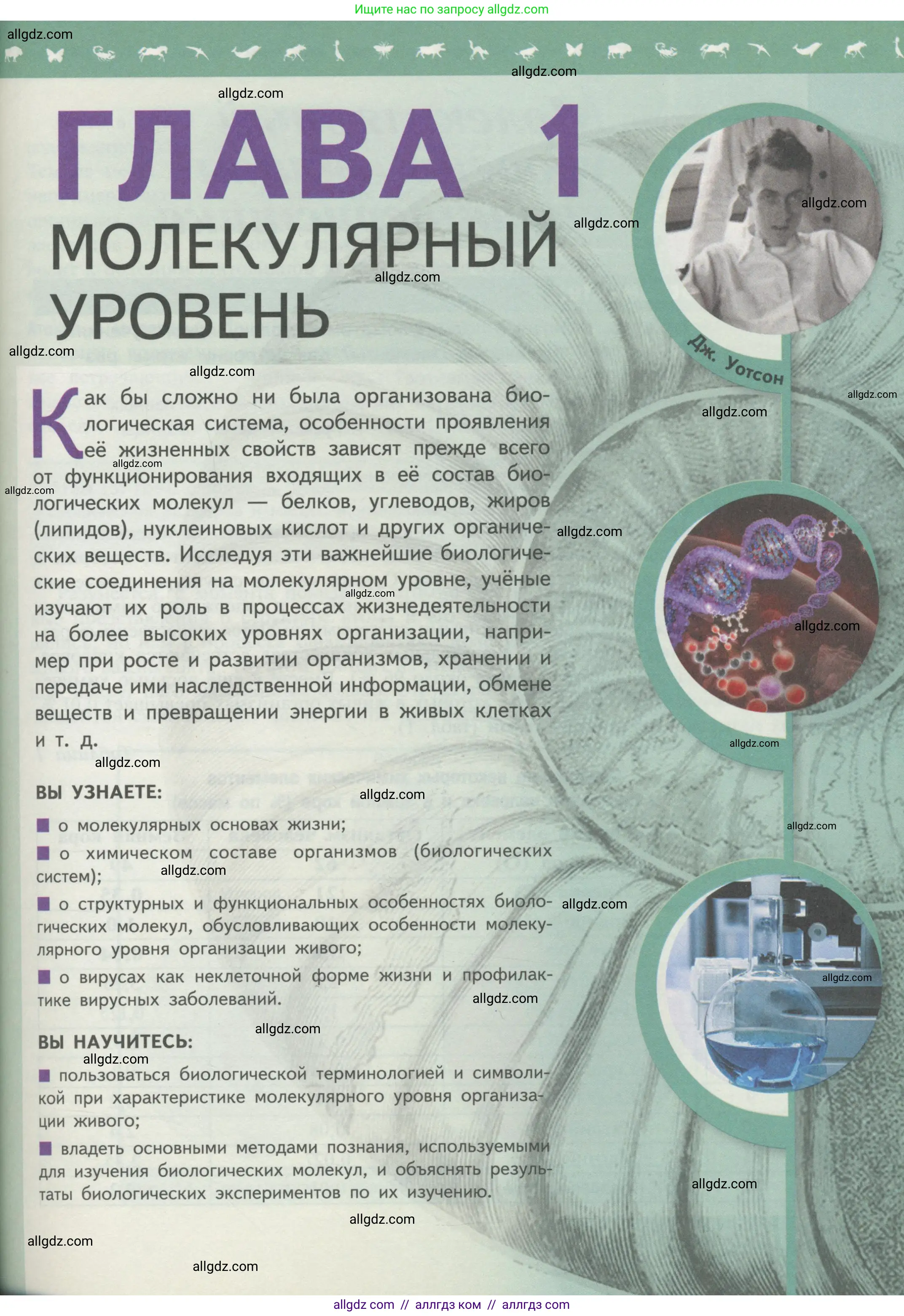 Биология, 10 класс Учебник, авторы: Пасечник Владимир Васильевич, Каменский Андрей Александрович, Рубцов Александр Михайлович, Швецов Глеб Геннадьевич, Гапонюк Зоя Георгиевна, издательство Просвещение, Москва, 2018, зелёного цвета, страница 41