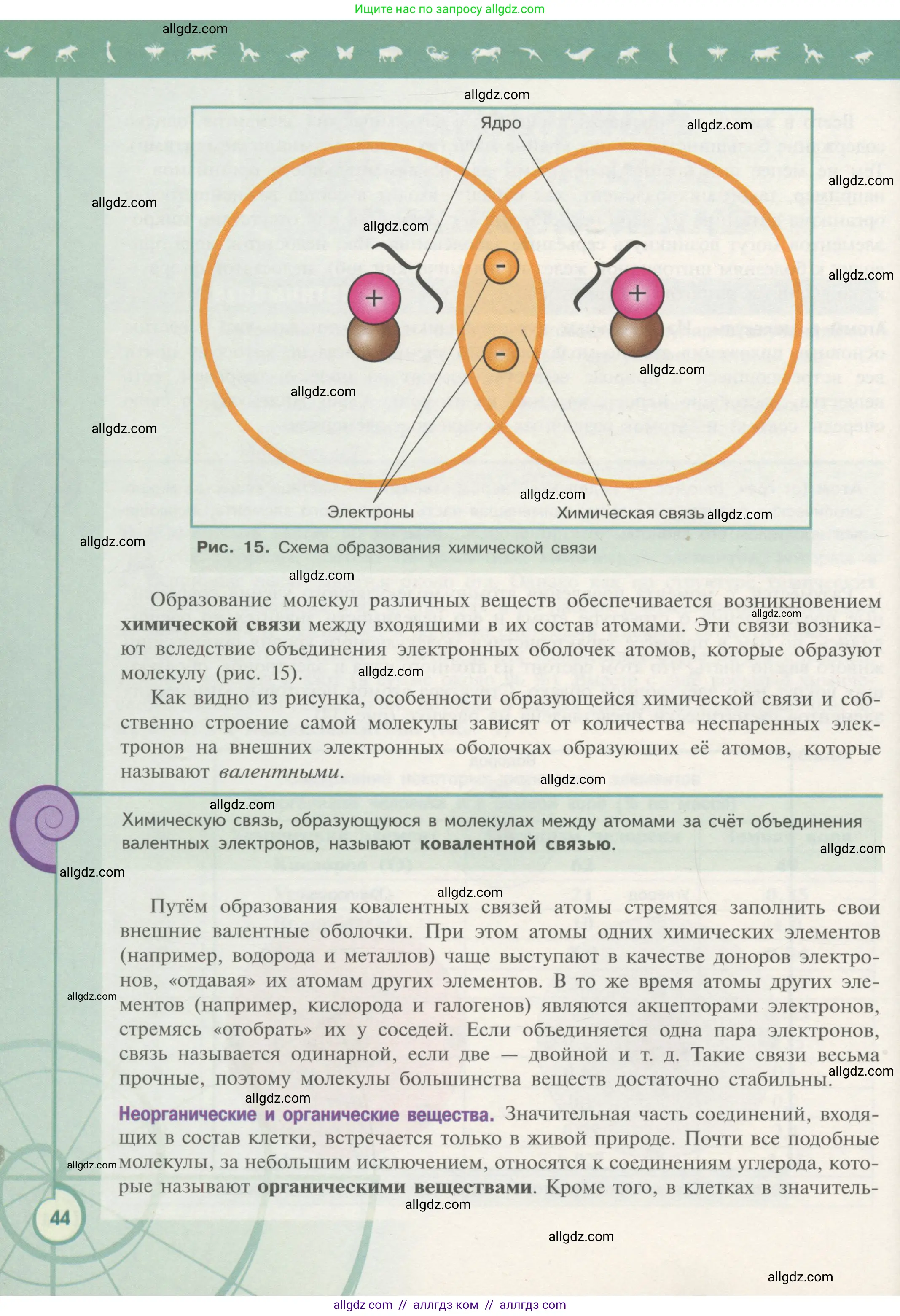 Биология, 10 класс Учебник, авторы: Пасечник Владимир Васильевич, Каменский Андрей Александрович, Рубцов Александр Михайлович, Швецов Глеб Геннадьевич, Гапонюк Зоя Георгиевна, издательство Просвещение, Москва, 2018, зелёного цвета, страница 44
