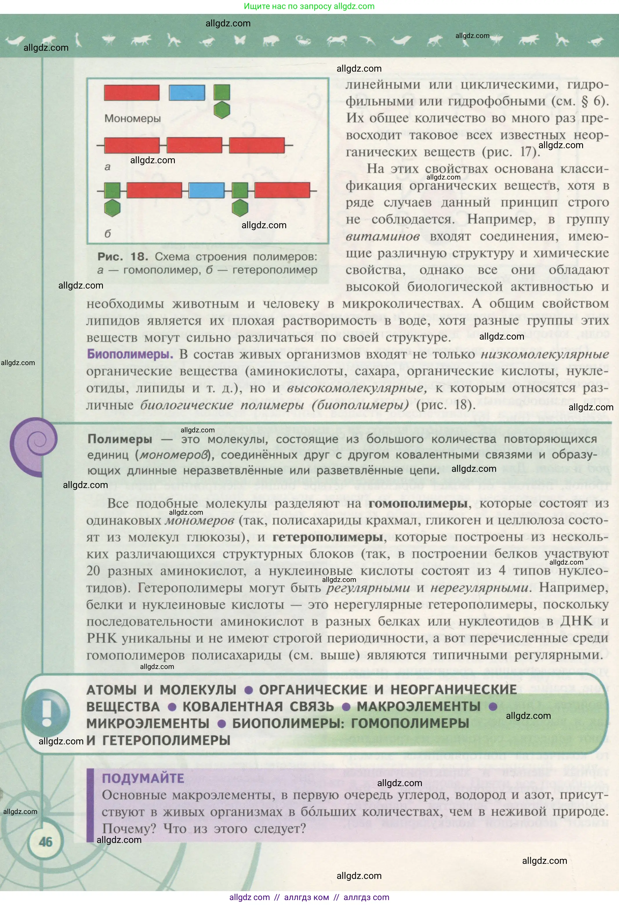 Биология, 10 класс Учебник, авторы: Пасечник Владимир Васильевич, Каменский Андрей Александрович, Рубцов Александр Михайлович, Швецов Глеб Геннадьевич, Гапонюк Зоя Георгиевна, издательство Просвещение, Москва, 2018, зелёного цвета, страница 46