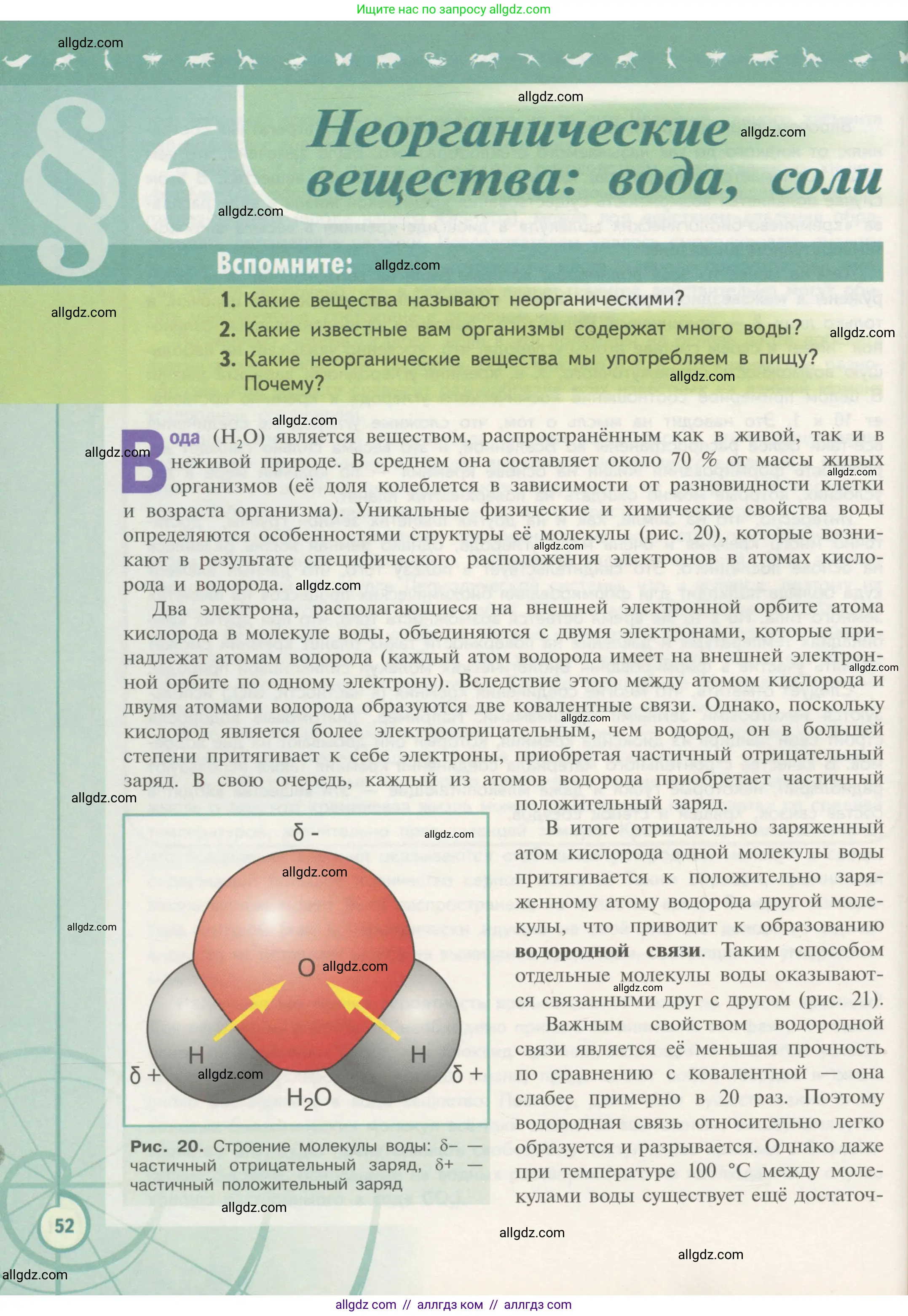 Биология, 10 класс Учебник, авторы: Пасечник Владимир Васильевич, Каменский Андрей Александрович, Рубцов Александр Михайлович, Швецов Глеб Геннадьевич, Гапонюк Зоя Георгиевна, издательство Просвещение, Москва, 2018, зелёного цвета, страница 52