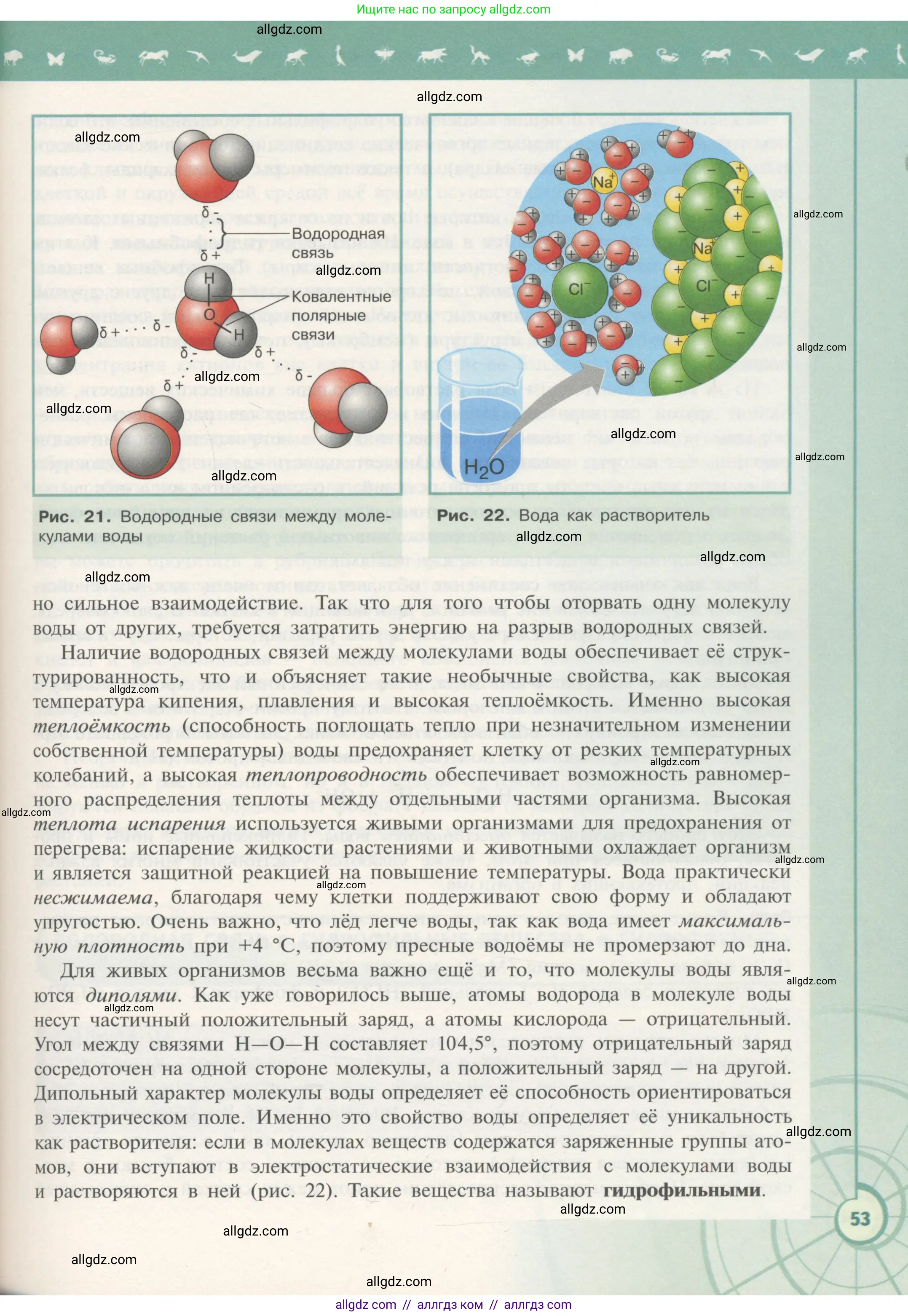 Биология, 10 класс Учебник, авторы: Пасечник Владимир Васильевич, Каменский Андрей Александрович, Рубцов Александр Михайлович, Швецов Глеб Геннадьевич, Гапонюк Зоя Георгиевна, издательство Просвещение, Москва, 2018, зелёного цвета, страница 53