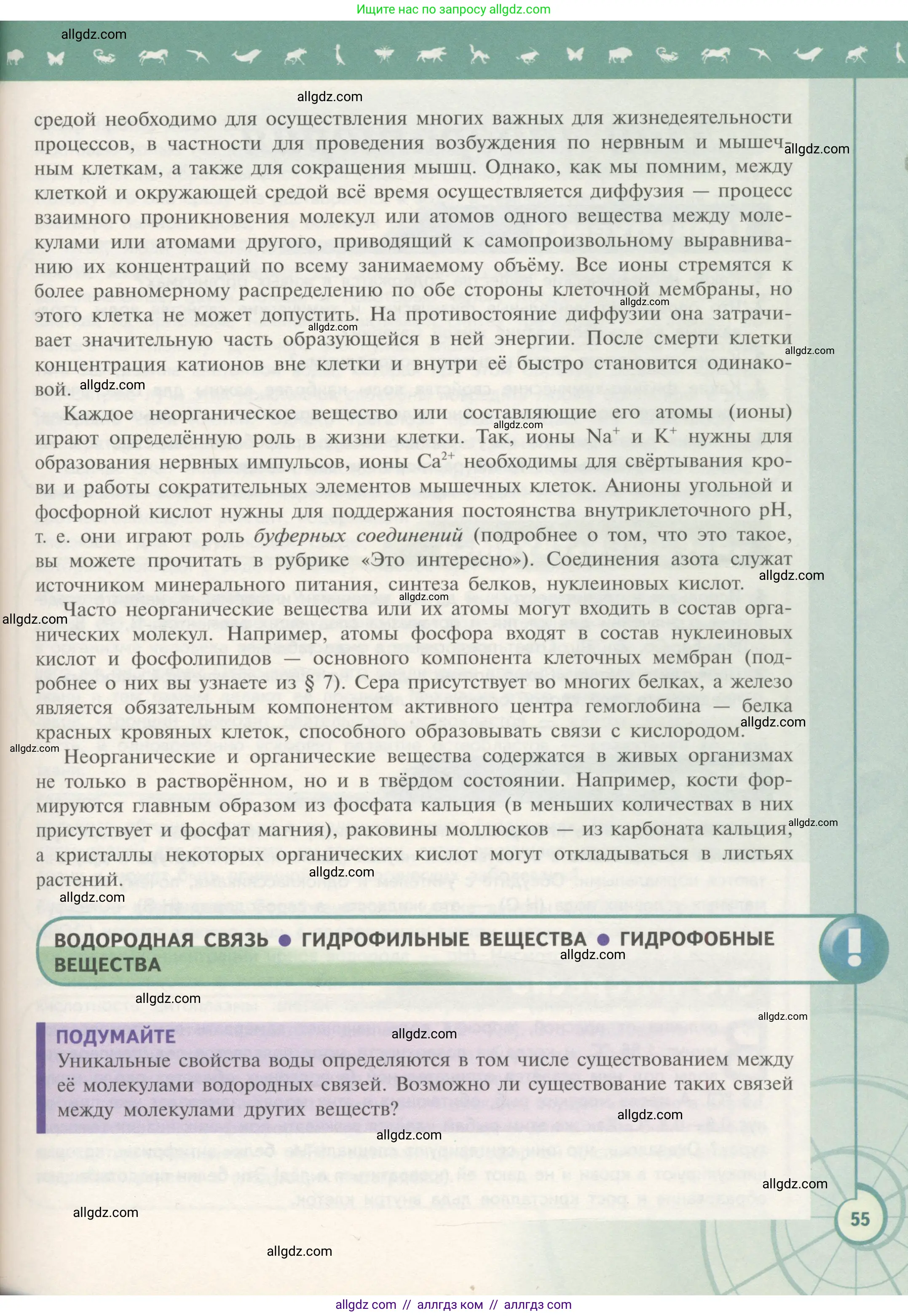 Биология, 10 класс Учебник, авторы: Пасечник Владимир Васильевич, Каменский Андрей Александрович, Рубцов Александр Михайлович, Швецов Глеб Геннадьевич, Гапонюк Зоя Георгиевна, издательство Просвещение, Москва, 2018, зелёного цвета, страница 55