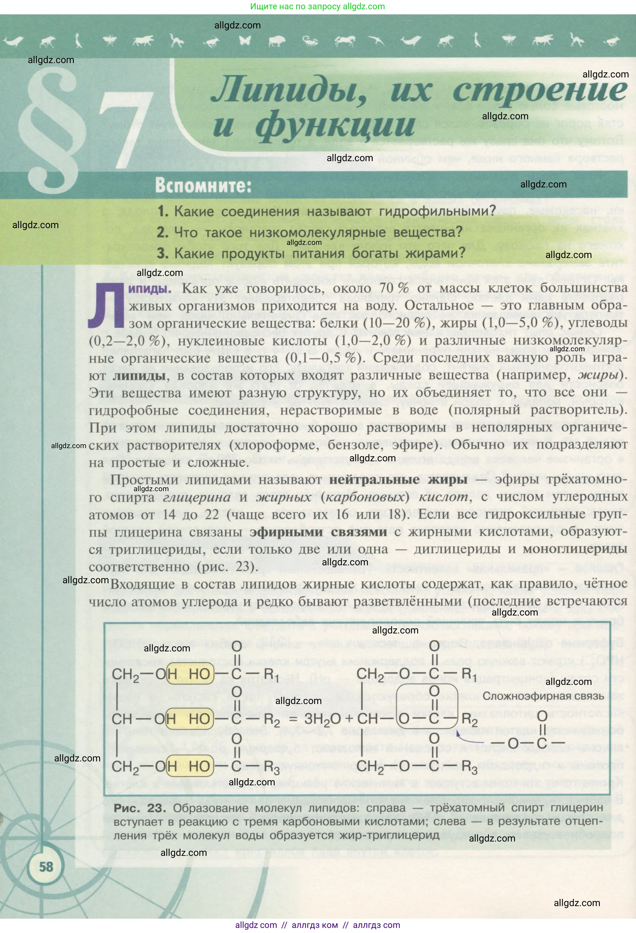 Биология, 10 класс Учебник, авторы: Пасечник Владимир Васильевич, Каменский Андрей Александрович, Рубцов Александр Михайлович, Швецов Глеб Геннадьевич, Гапонюк Зоя Георгиевна, издательство Просвещение, Москва, 2018, зелёного цвета, страница 58