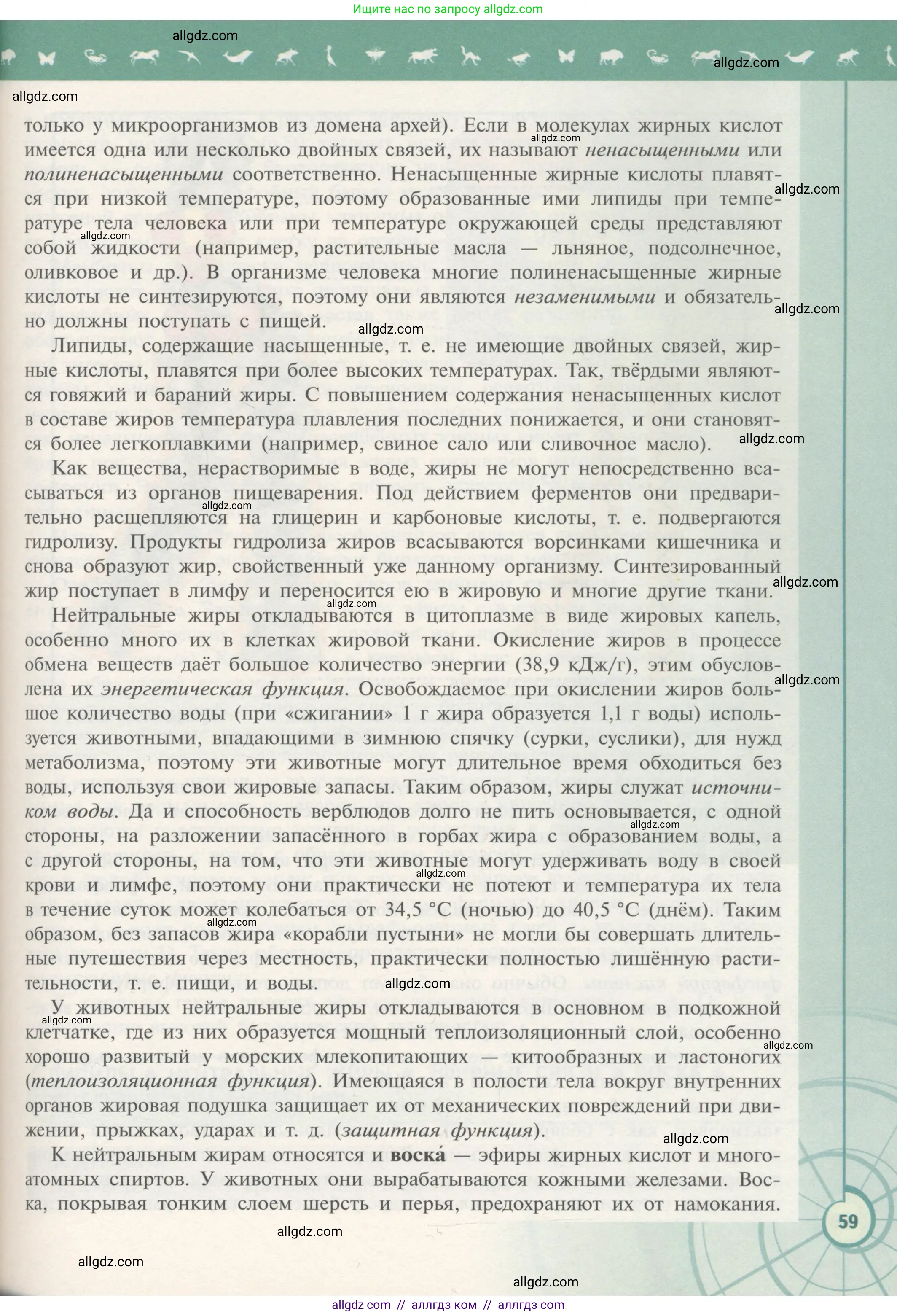 Биология, 10 класс Учебник, авторы: Пасечник Владимир Васильевич, Каменский Андрей Александрович, Рубцов Александр Михайлович, Швецов Глеб Геннадьевич, Гапонюк Зоя Георгиевна, издательство Просвещение, Москва, 2018, зелёного цвета, страница 59