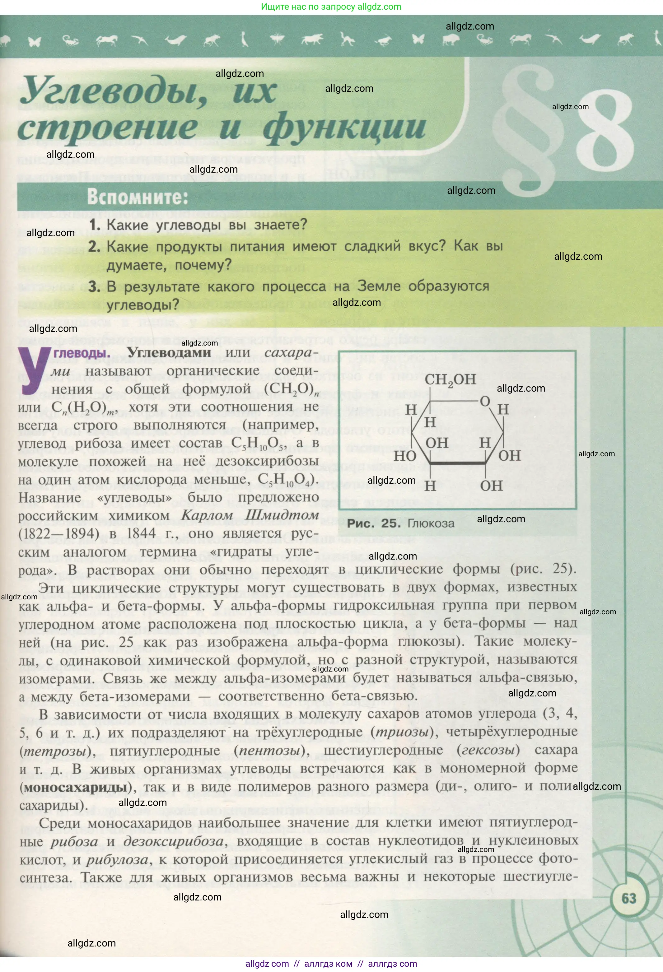 Биология, 10 класс Учебник, авторы: Пасечник Владимир Васильевич, Каменский Андрей Александрович, Рубцов Александр Михайлович, Швецов Глеб Геннадьевич, Гапонюк Зоя Георгиевна, издательство Просвещение, Москва, 2018, зелёного цвета, страница 63