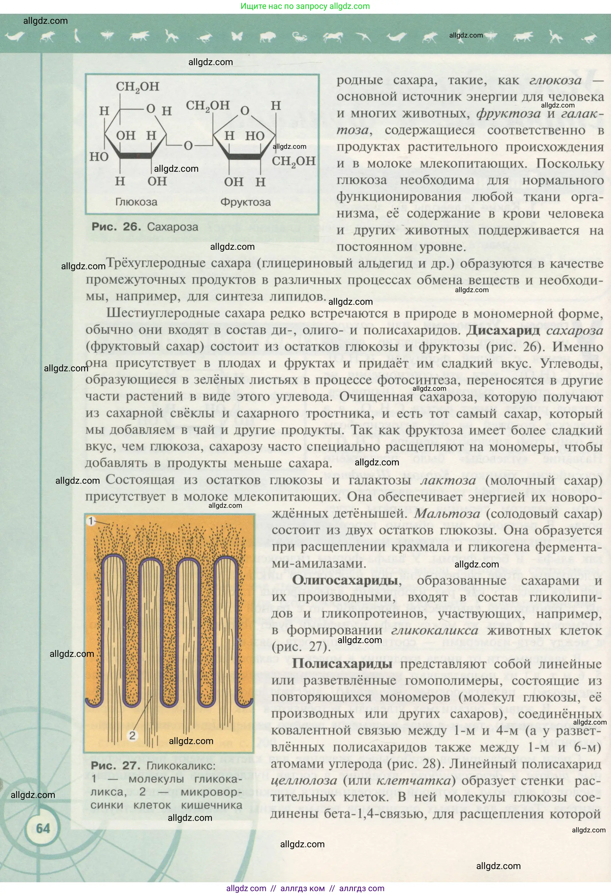 Биология, 10 класс Учебник, авторы: Пасечник Владимир Васильевич, Каменский Андрей Александрович, Рубцов Александр Михайлович, Швецов Глеб Геннадьевич, Гапонюк Зоя Георгиевна, издательство Просвещение, Москва, 2018, зелёного цвета, страница 64