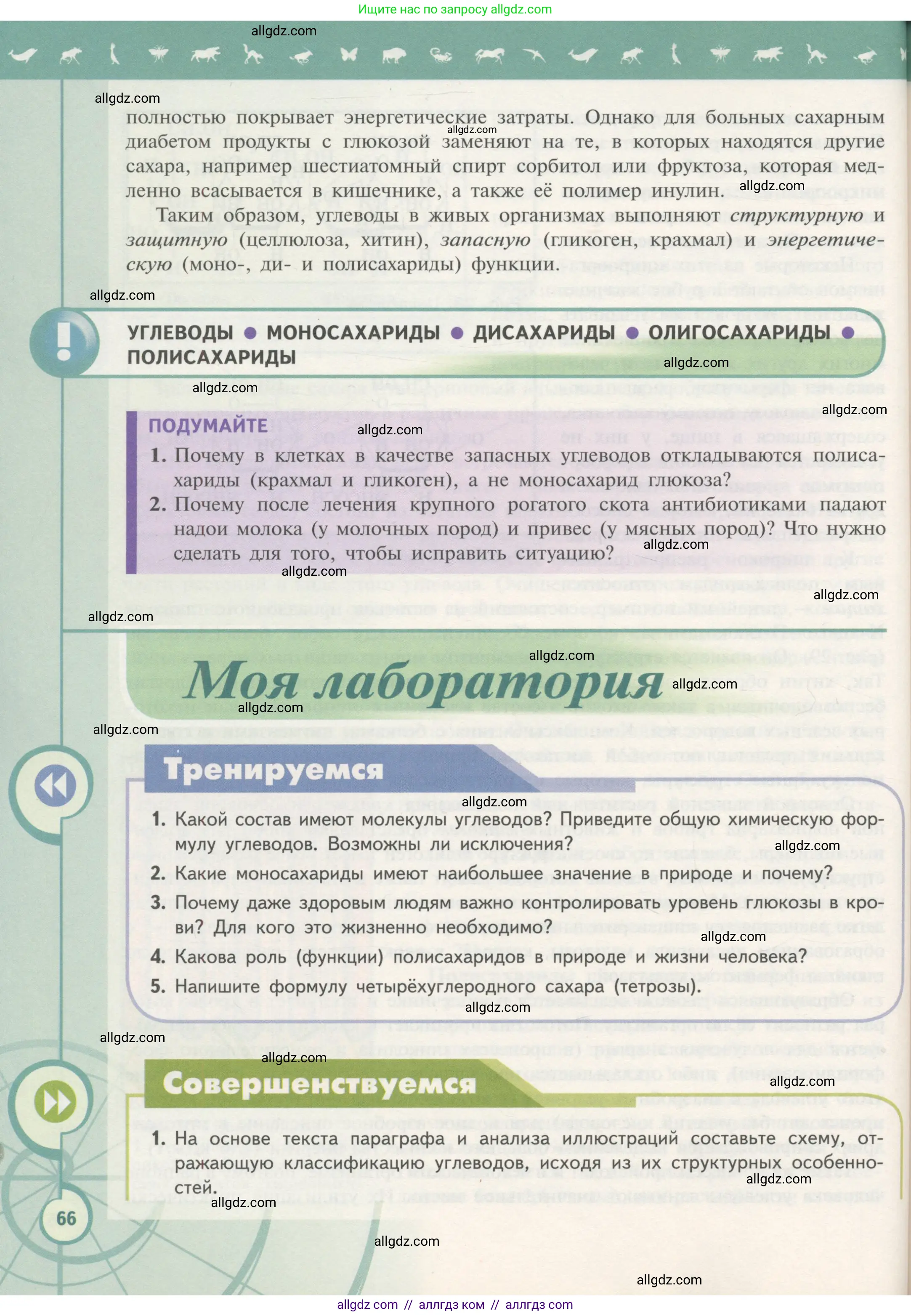 Биология, 10 класс Учебник, авторы: Пасечник Владимир Васильевич, Каменский Андрей Александрович, Рубцов Александр Михайлович, Швецов Глеб Геннадьевич, Гапонюк Зоя Георгиевна, издательство Просвещение, Москва, 2018, зелёного цвета, страница 66