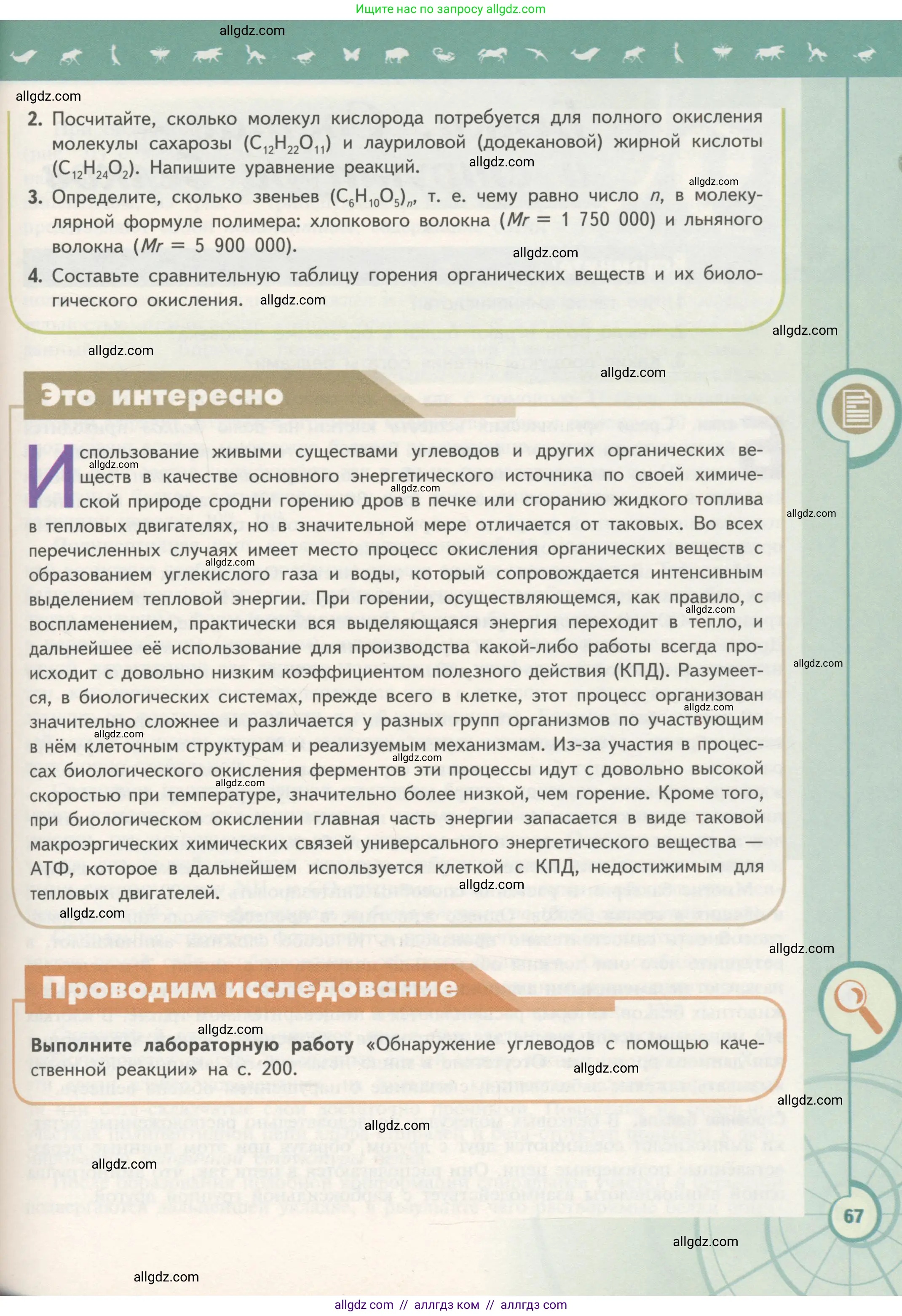 Биология, 10 класс Учебник, авторы: Пасечник Владимир Васильевич, Каменский Андрей Александрович, Рубцов Александр Михайлович, Швецов Глеб Геннадьевич, Гапонюк Зоя Георгиевна, издательство Просвещение, Москва, 2018, зелёного цвета, страница 67