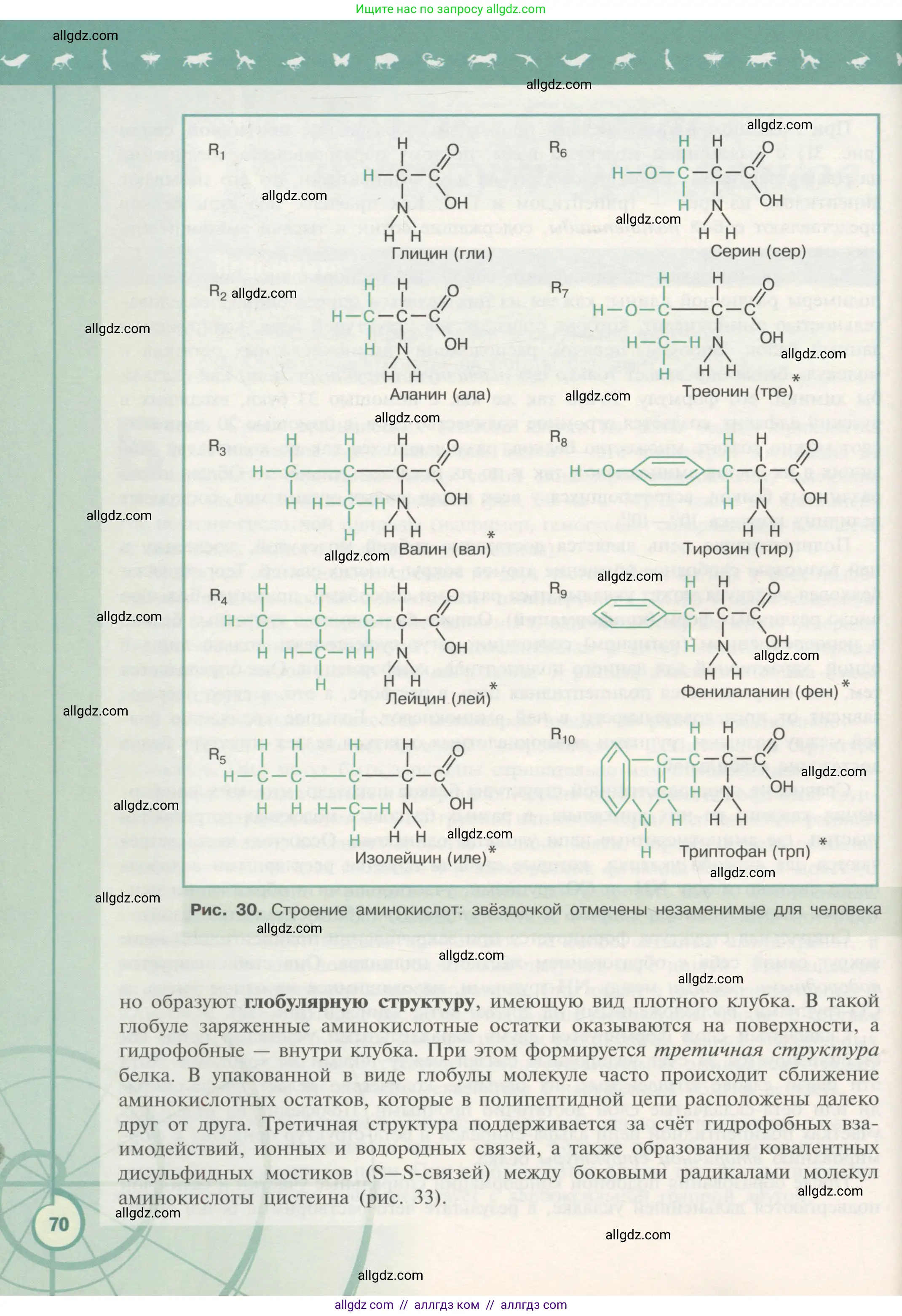 Биология, 10 класс Учебник, авторы: Пасечник Владимир Васильевич, Каменский Андрей Александрович, Рубцов Александр Михайлович, Швецов Глеб Геннадьевич, Гапонюк Зоя Георгиевна, издательство Просвещение, Москва, 2018, зелёного цвета, страница 70